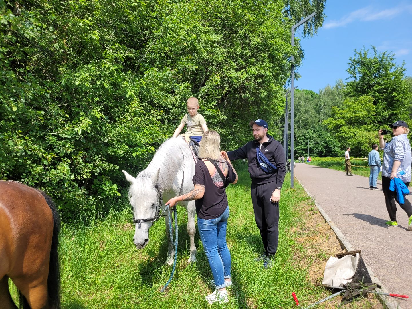 конная прогулка; видное; апаринки; казачий дозор