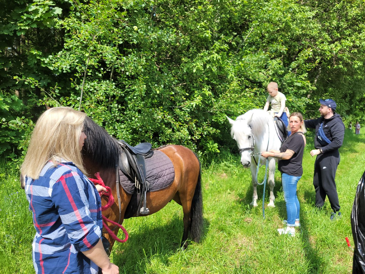 конная прогулка; видное; апаринки; казачий дозор