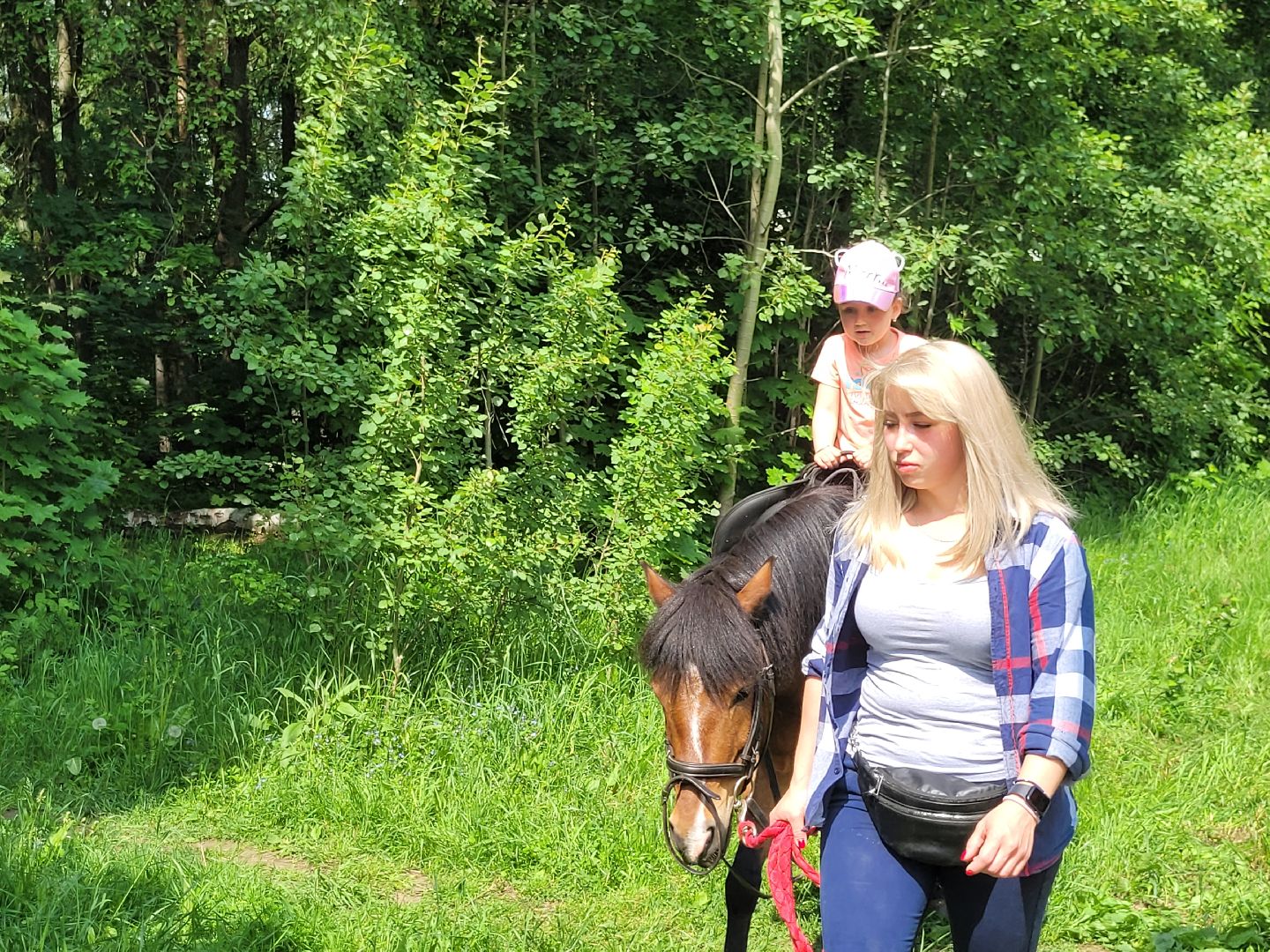 конная прогулка; видное; апаринки; казачий дозор