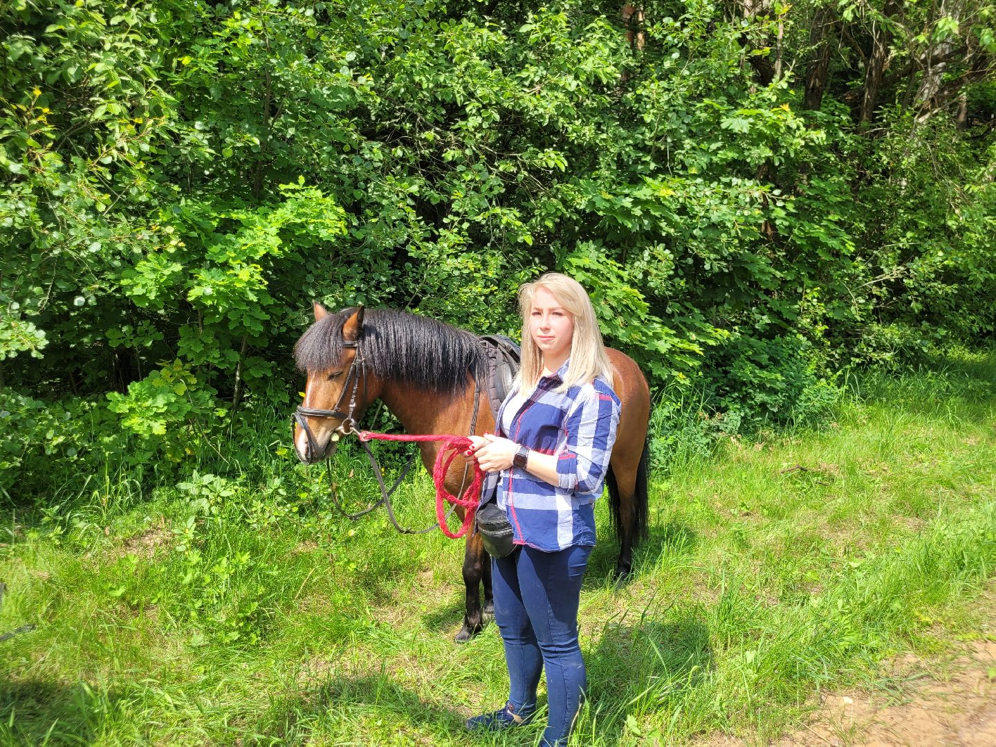 конная прогулка; видное; апаринки; казачий дозор