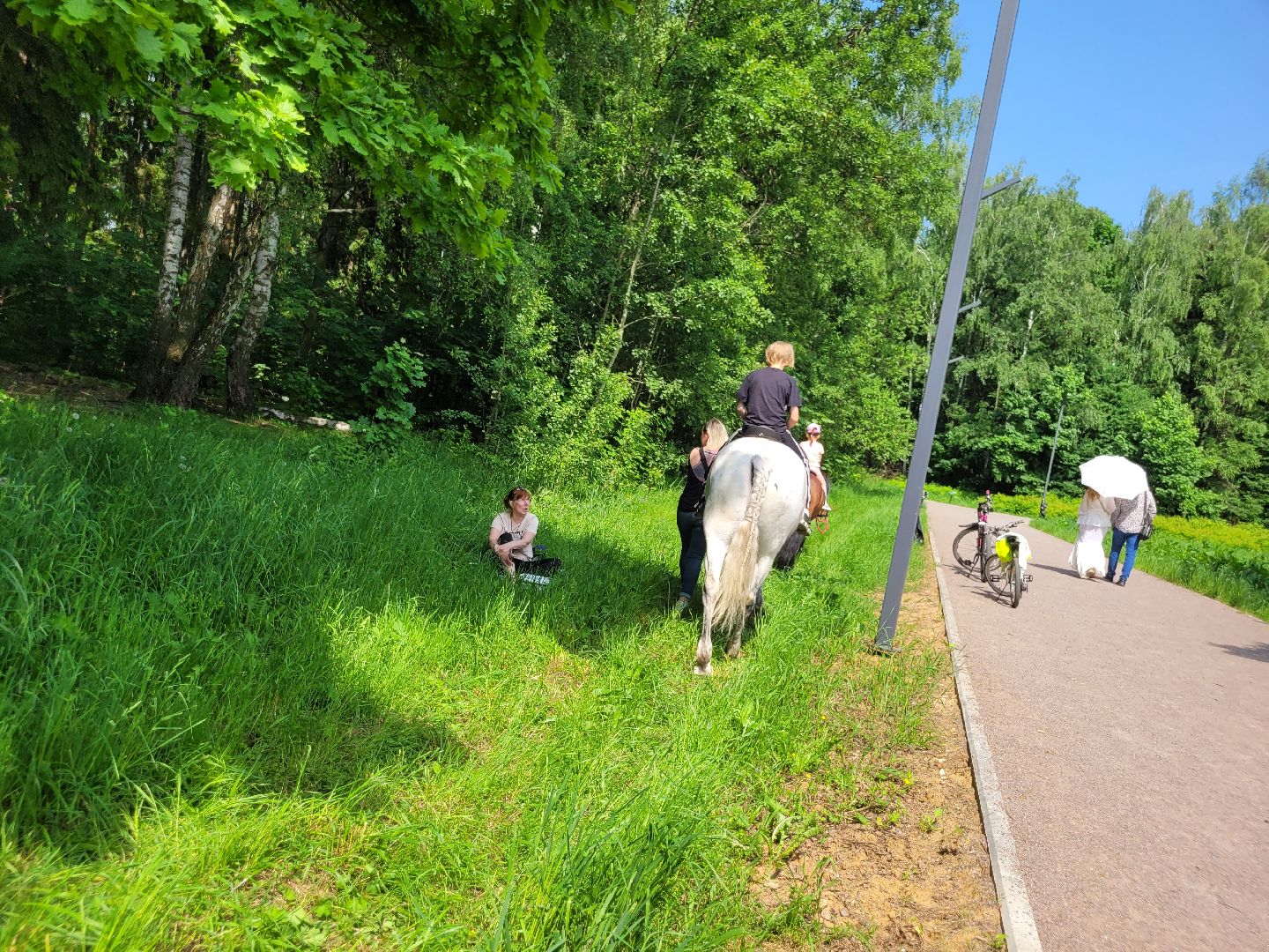 конная прогулка; видное; апаринки; казачий дозор