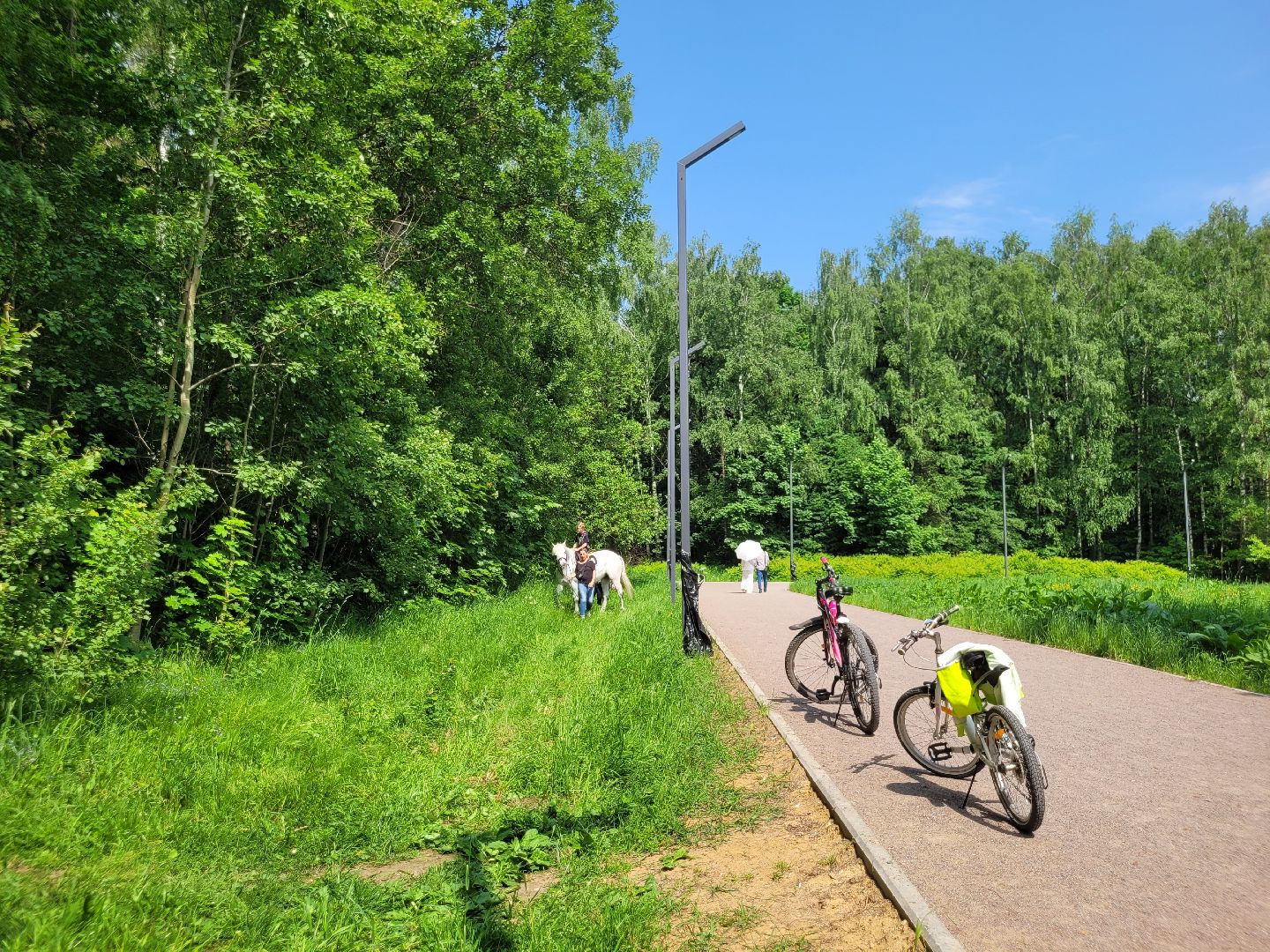 конная прогулка; видное; апаринки; казачий дозор