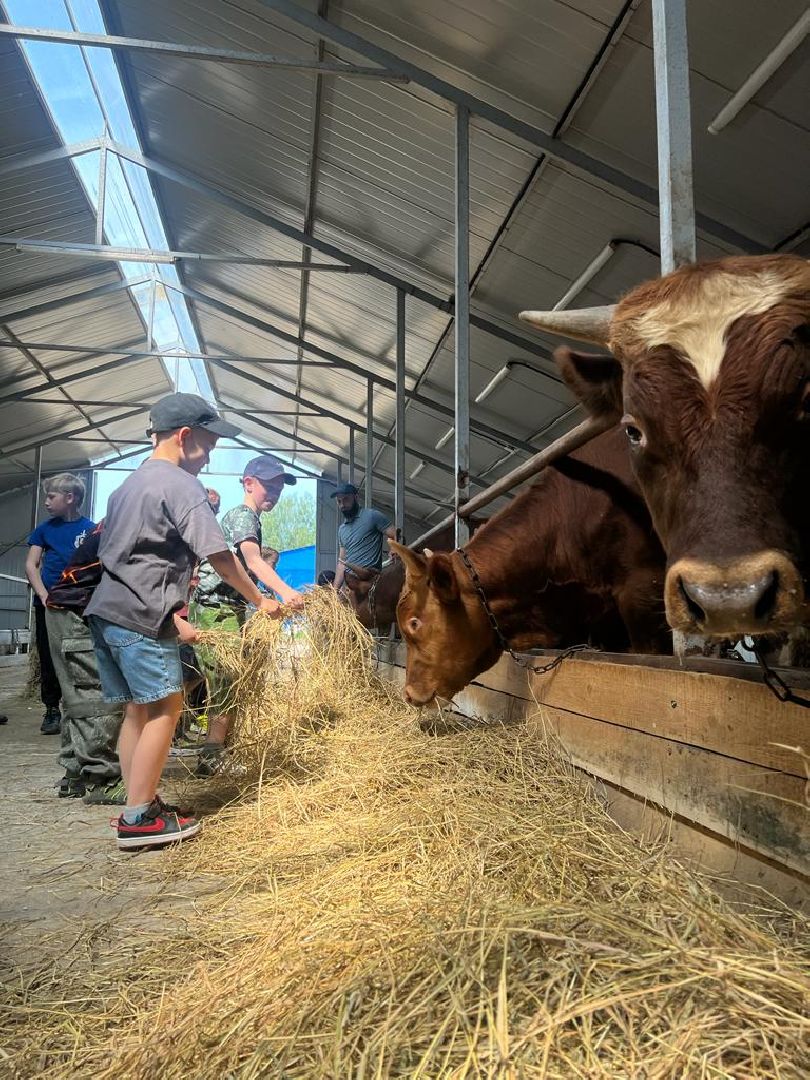 Экскурсия на ферму, Наро-Фоминск, агротуризм