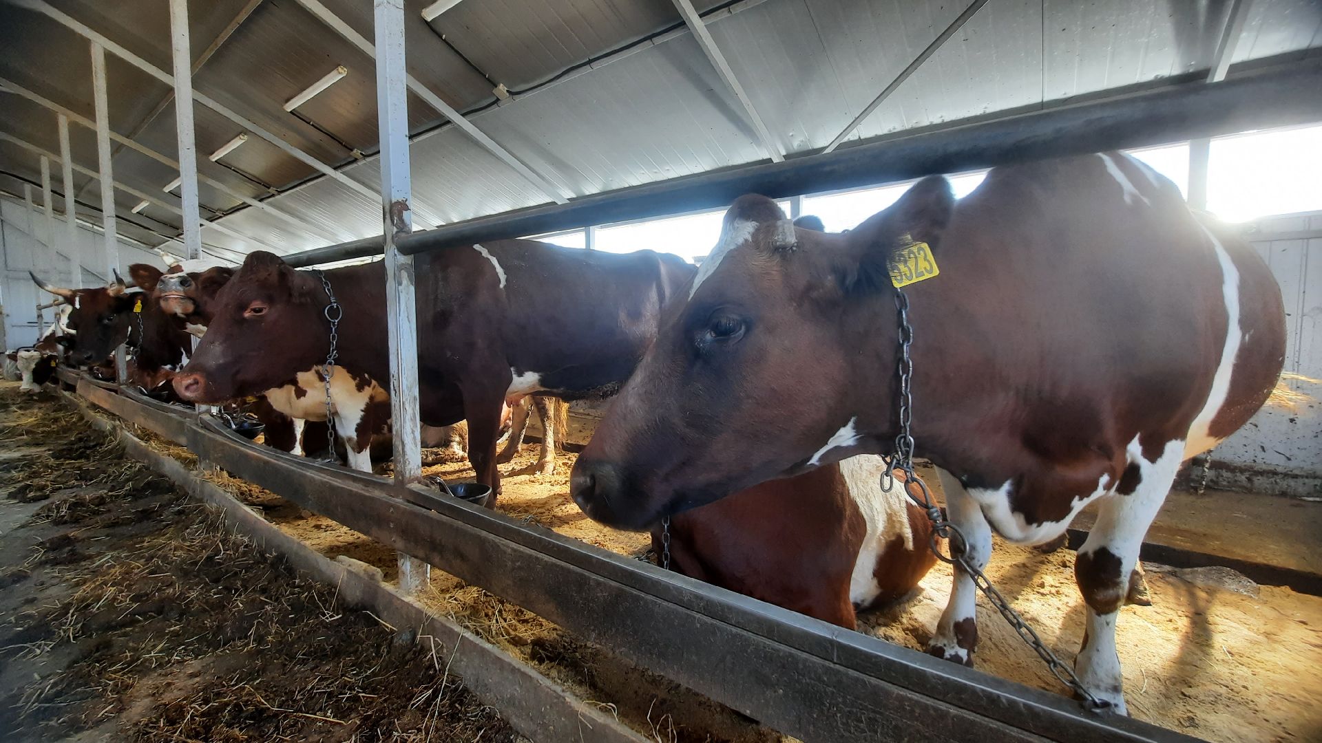 Экскурсия на ферму, Наро-Фоминск, агротуризм