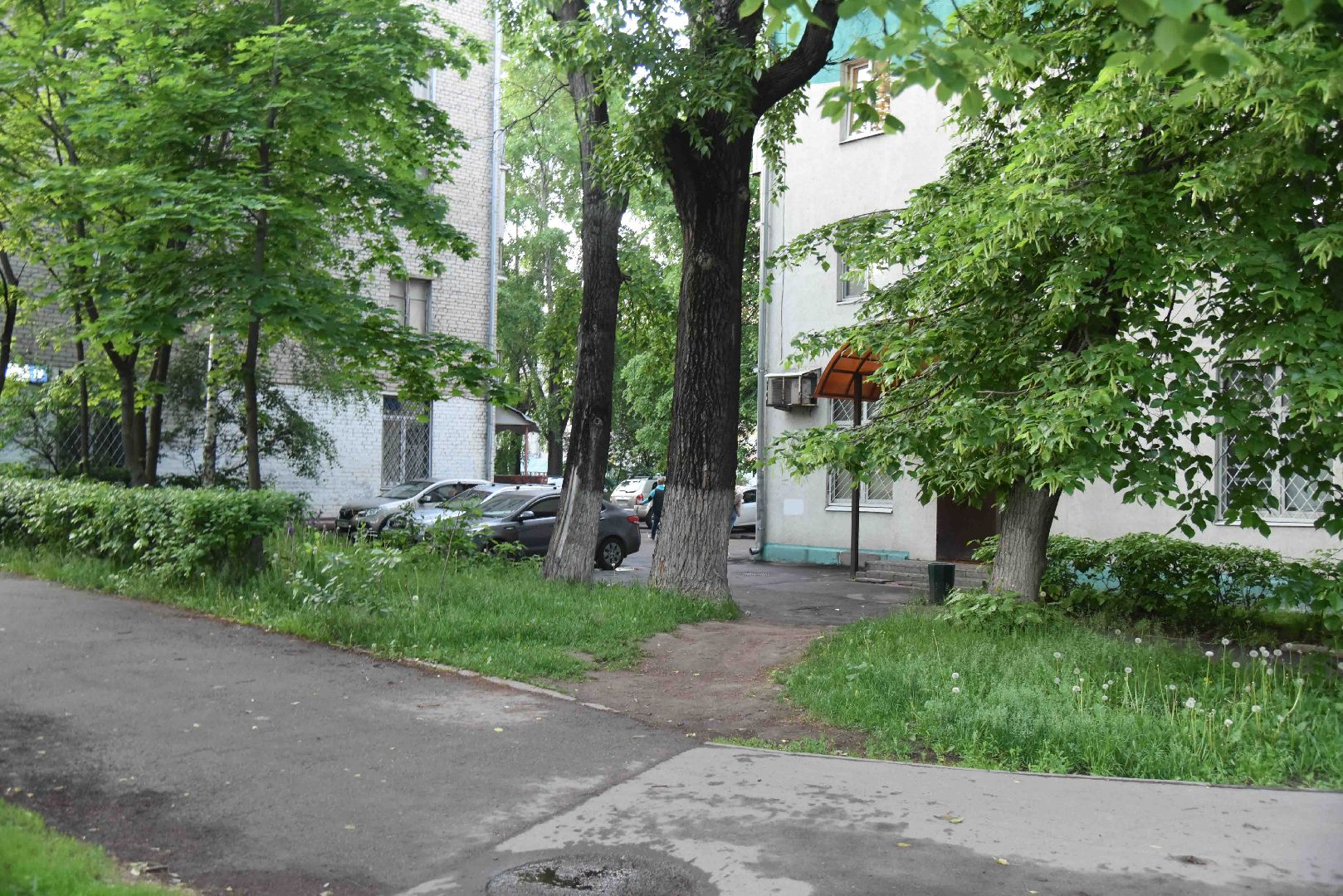 Химки, тропа, благоустройство