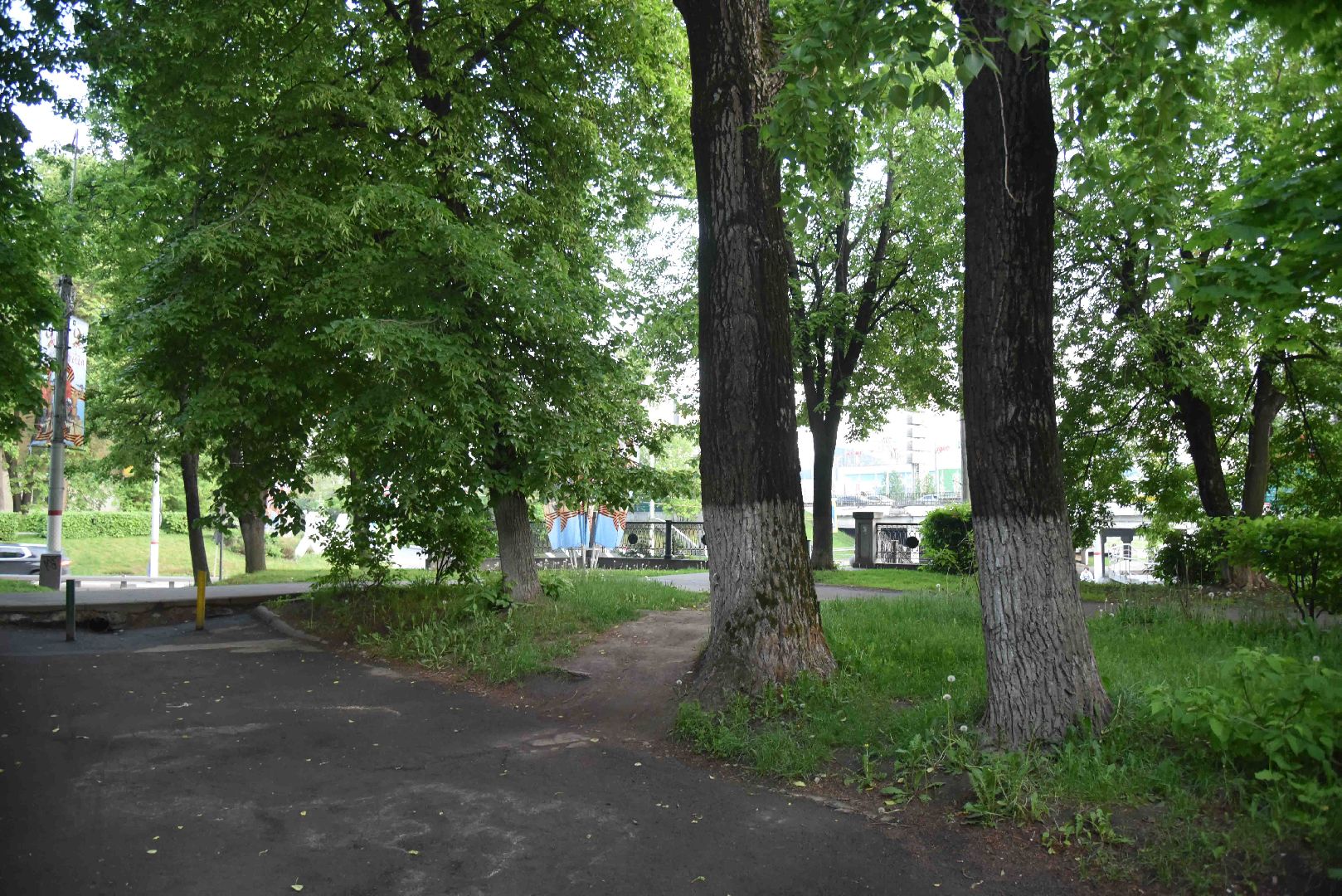 Химки, тропа, благоустройство