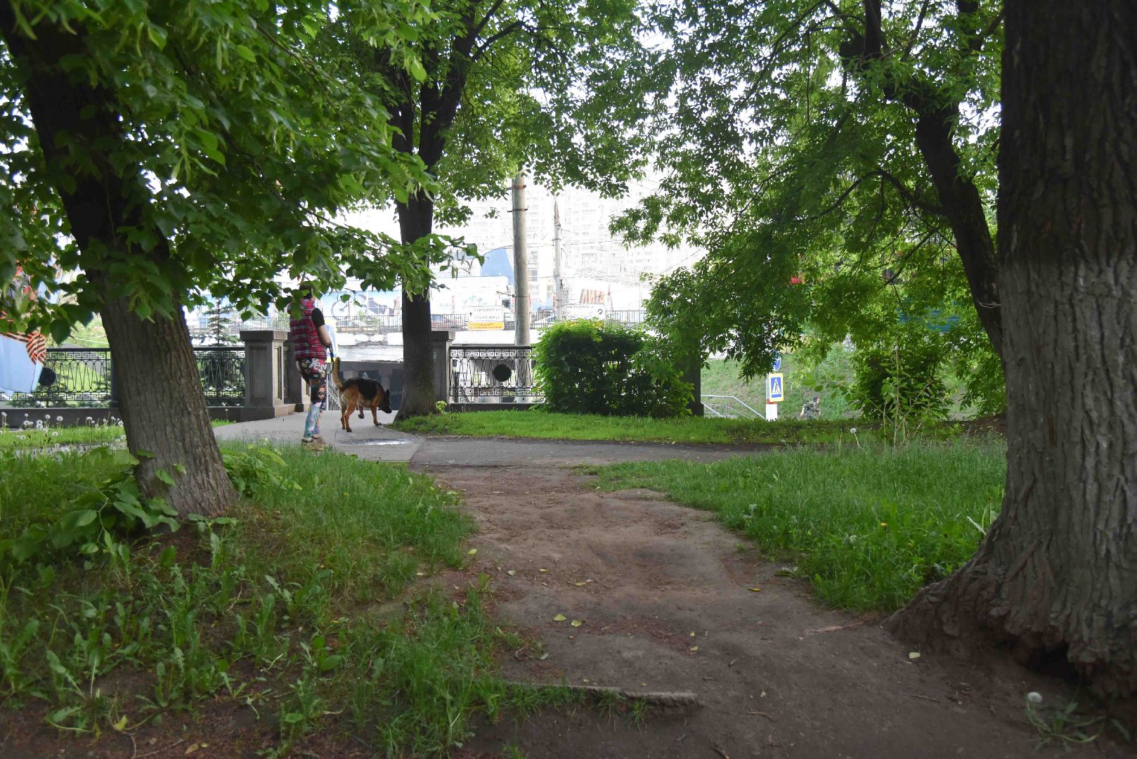 Химки, тропа, благоустройство