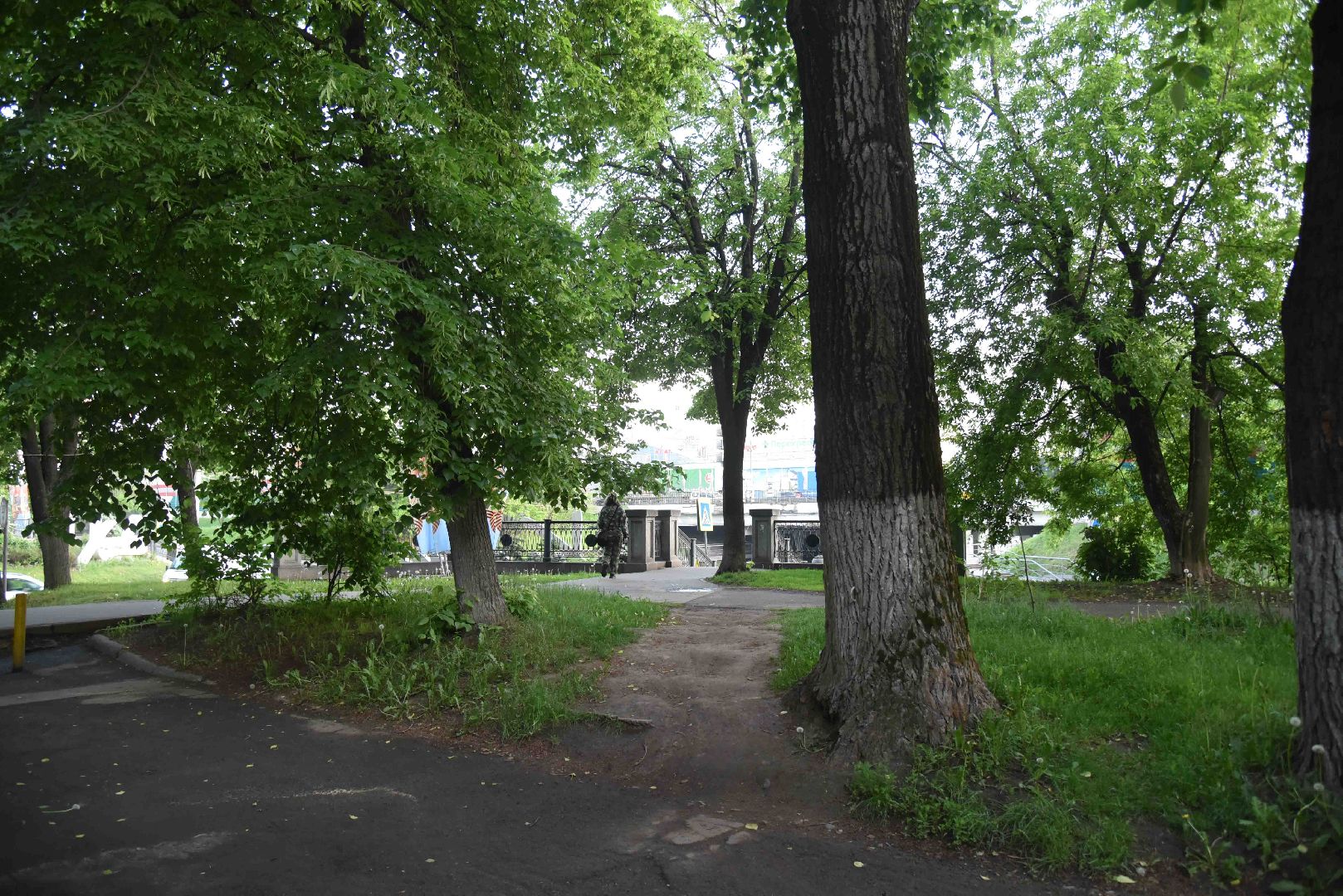 Химки, тропа, благоустройство