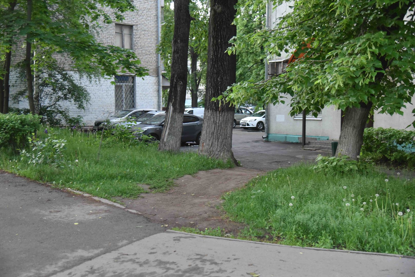 Химки, тропа, благоустройство