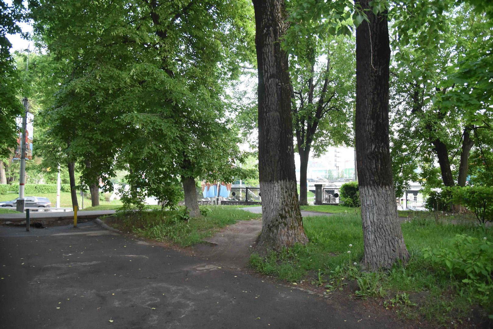 Химки, тропа, благоустройство