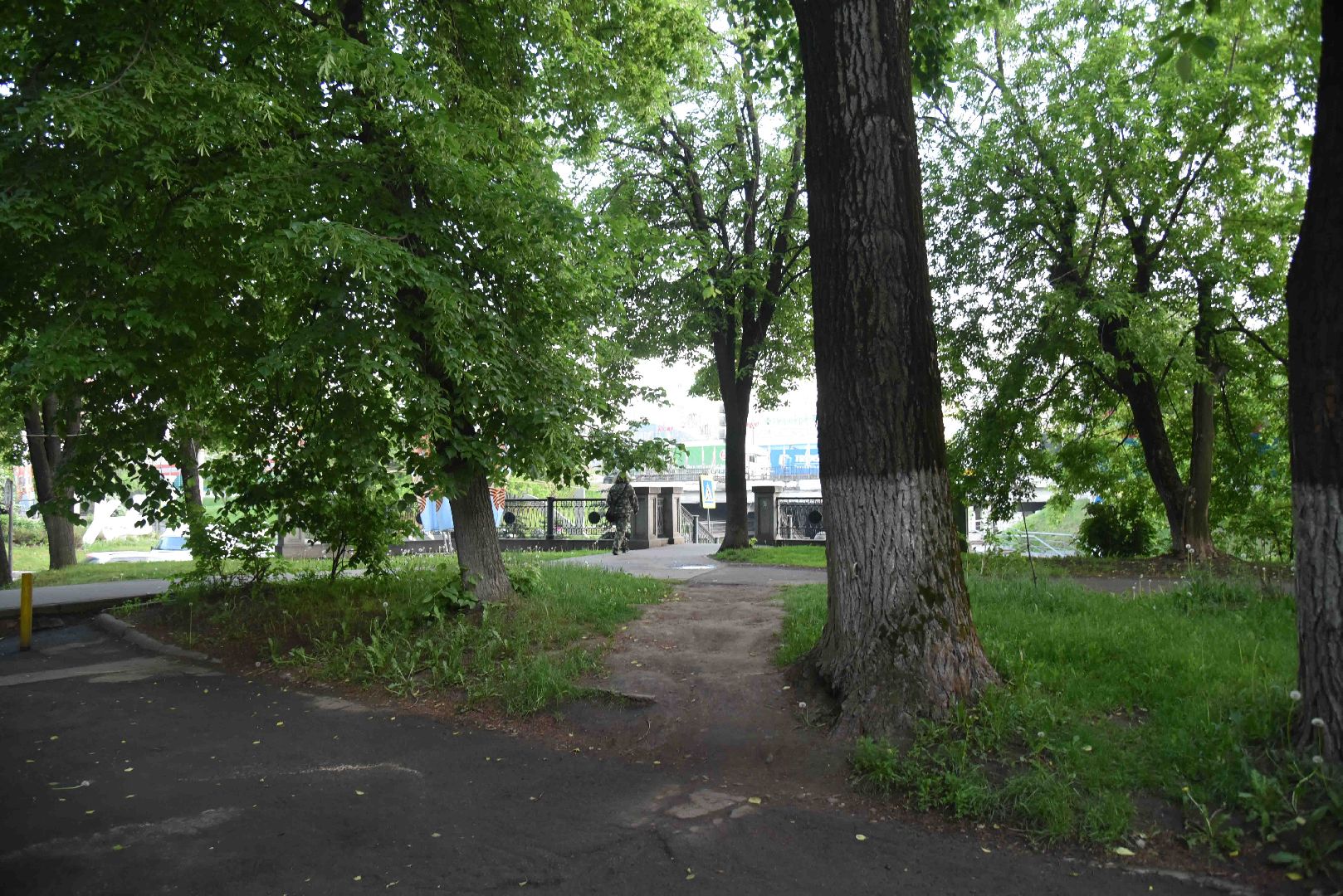 Химки, тропа, благоустройство