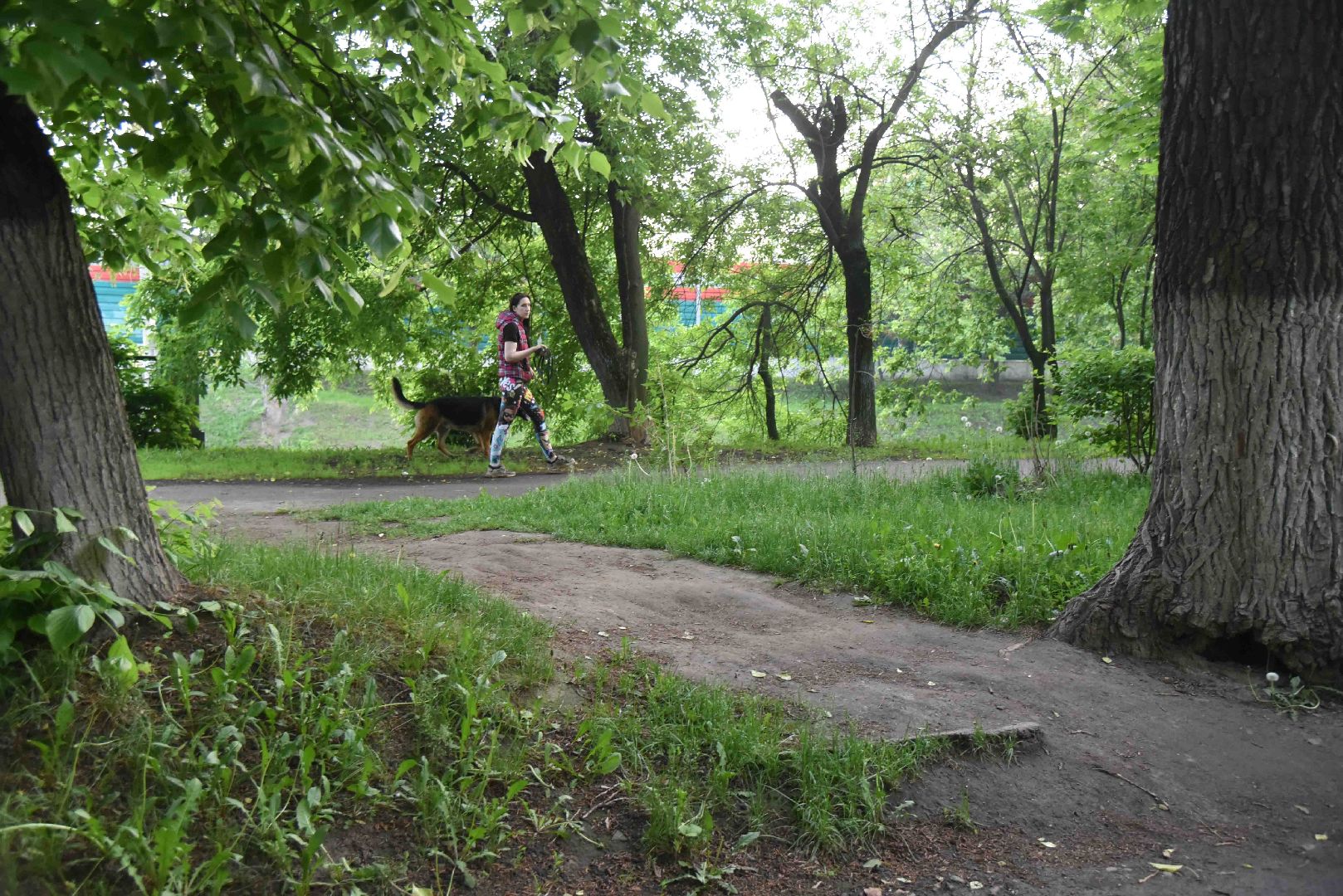 Химки, тропа, благоустройство