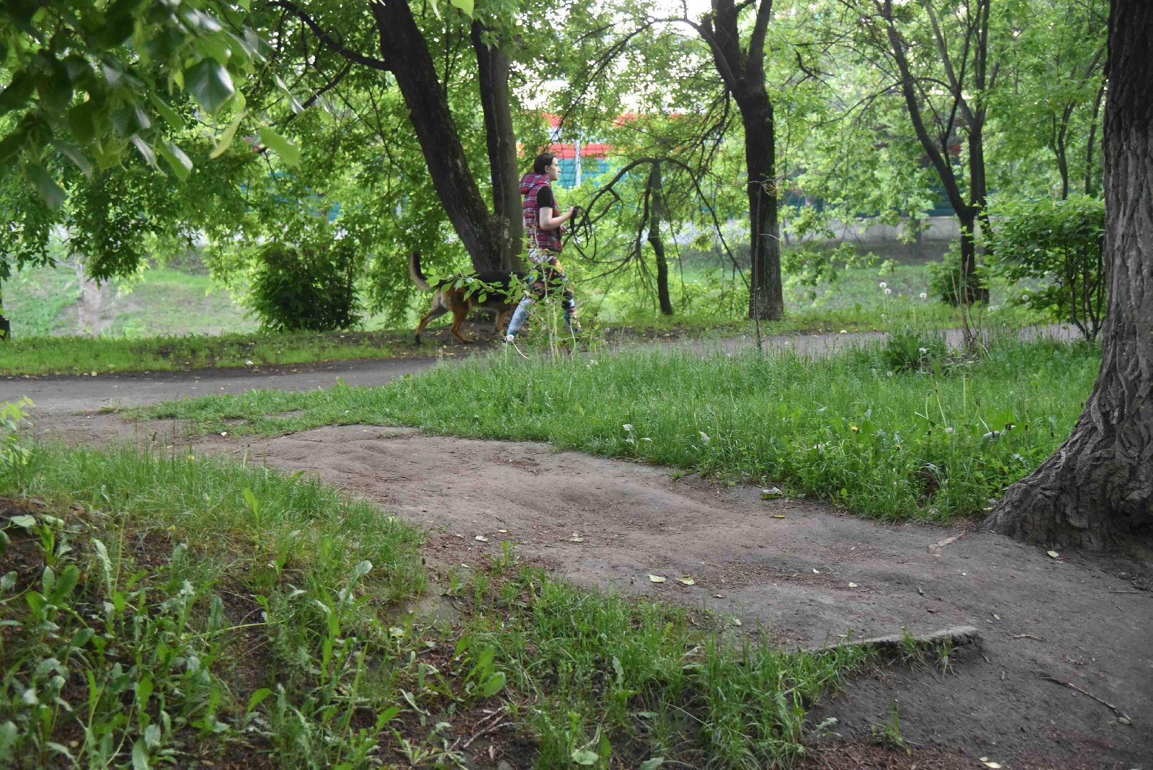 Химки, тропа, благоустройство