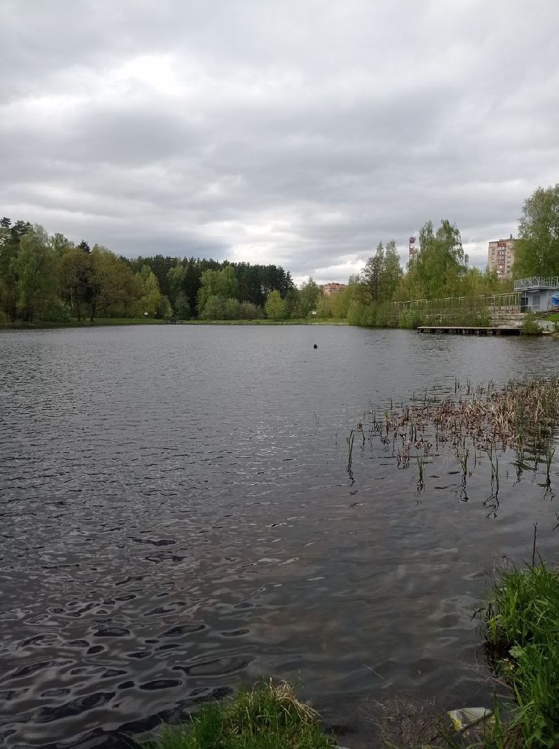 купальный сезон, лето, водоёмы, водолазы, Лосино-Петровский