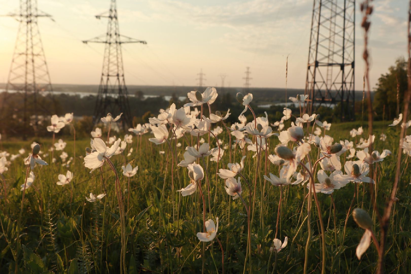 Пущино, экология, туризм