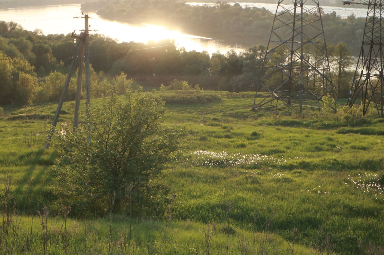 Пущино, экология, туризм