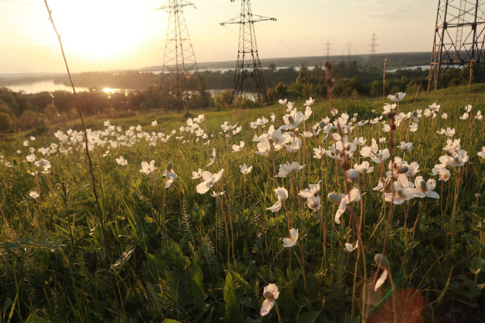 Пущино, экология, туризм