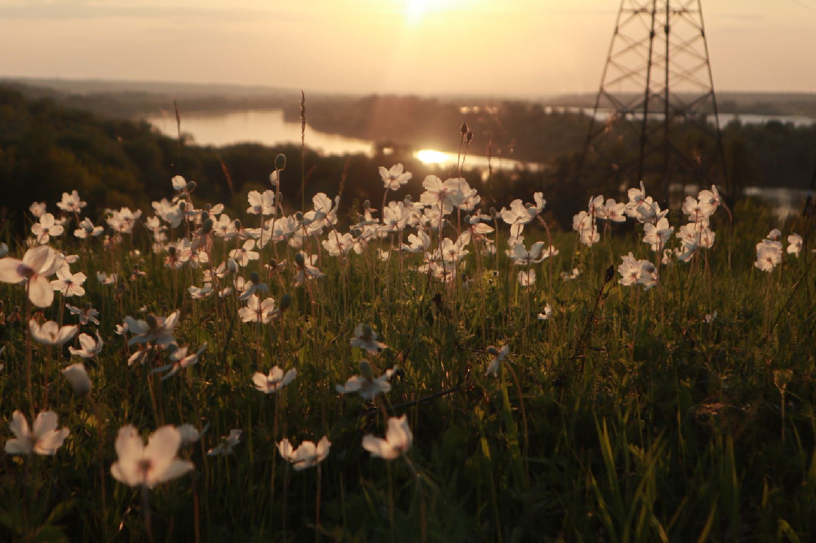 Пущино, экология, туризм