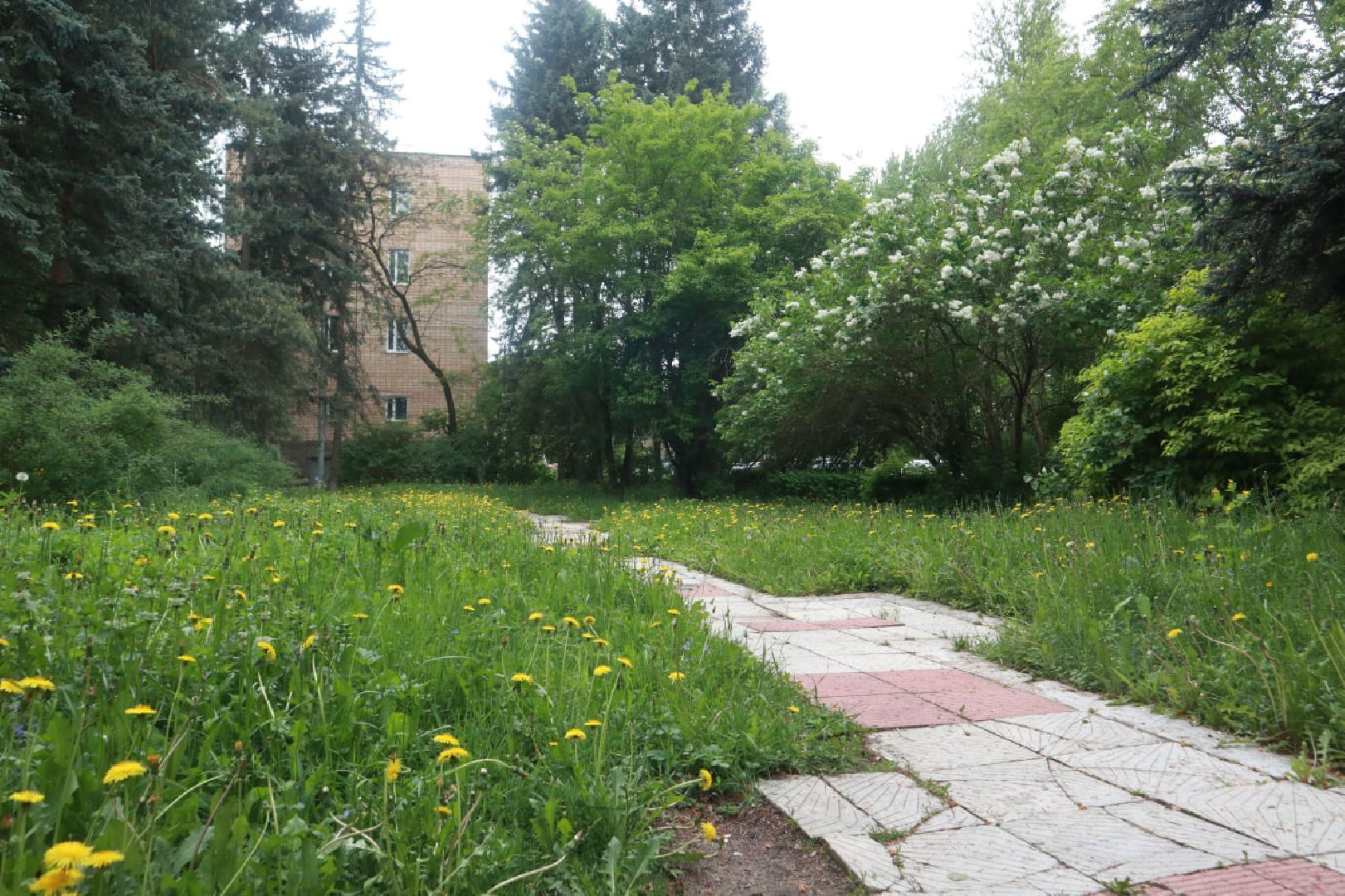 Пущино, благоустройство