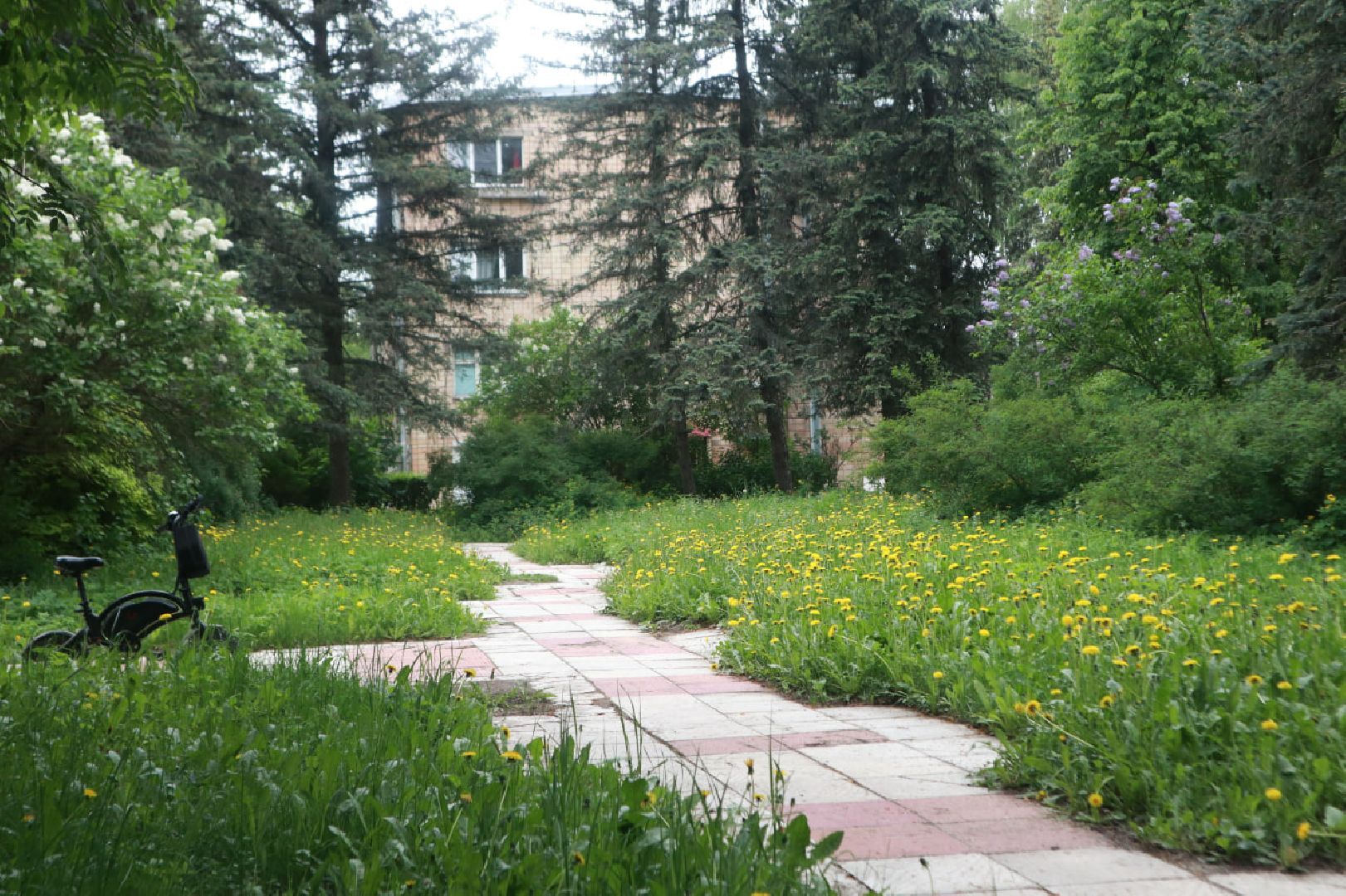 Пущино, благоустройство