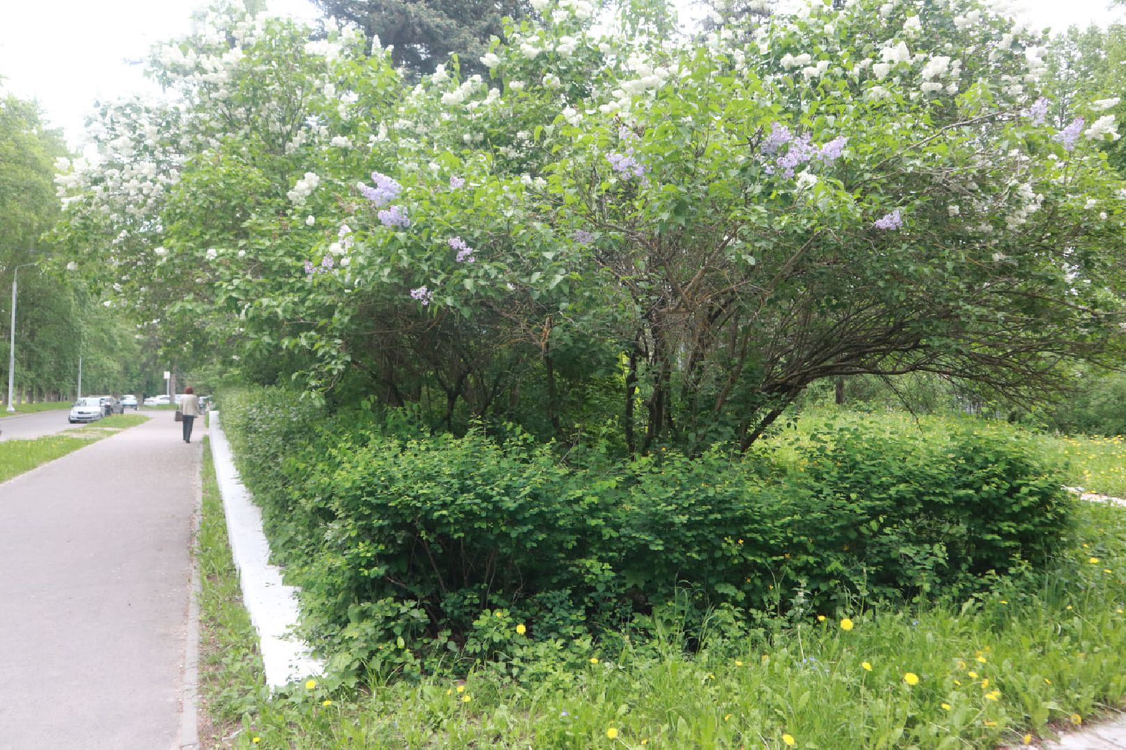 Пущино, благоустройство