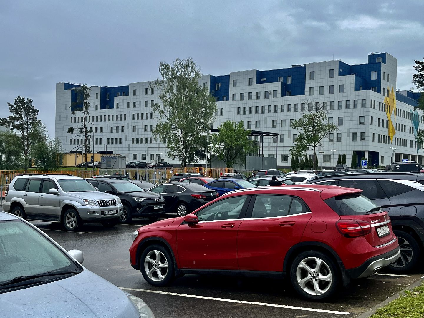 Наро-Фоминск, благоустройство, топиарии, перинатальный центр, арт-объект