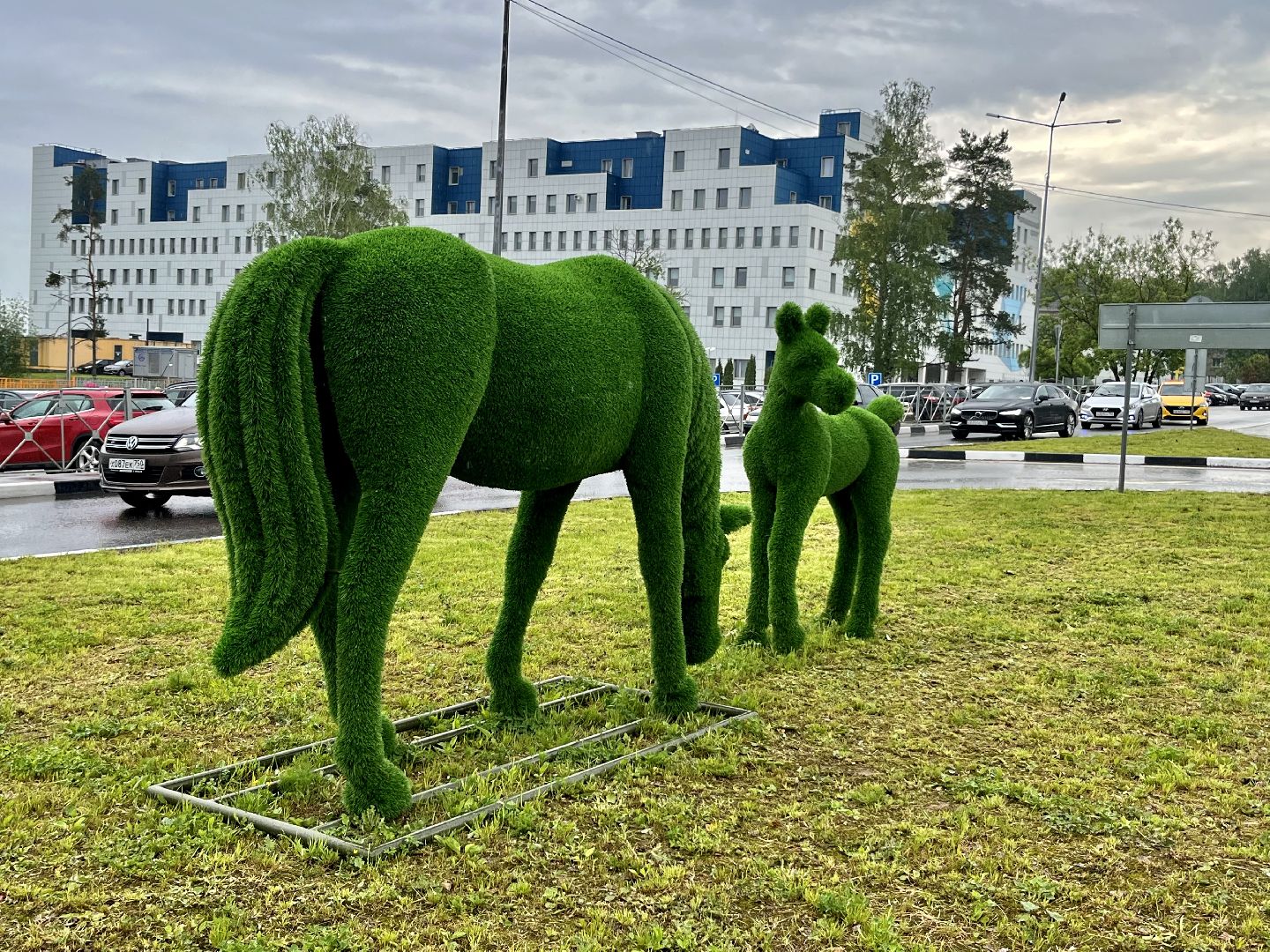 Наро-Фоминск, благоустройство, топиарии, перинатальный центр, арт-объект