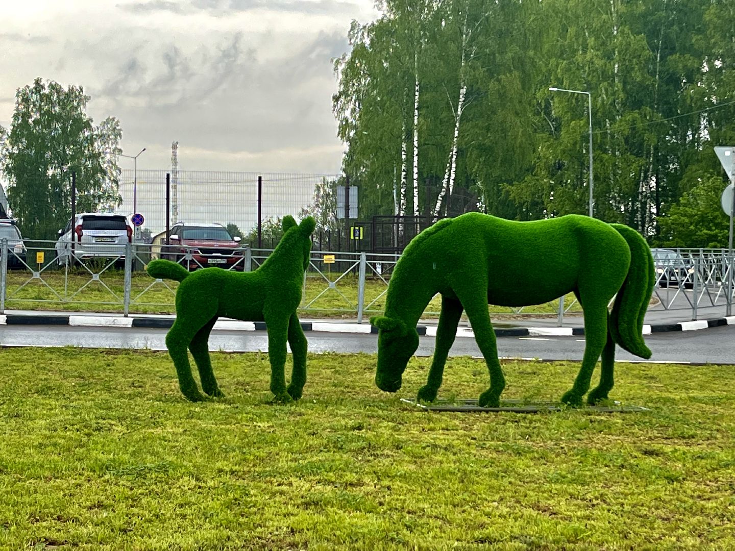 Наро-Фоминск, благоустройство, топиарии, перинатальный центр, арт-объект