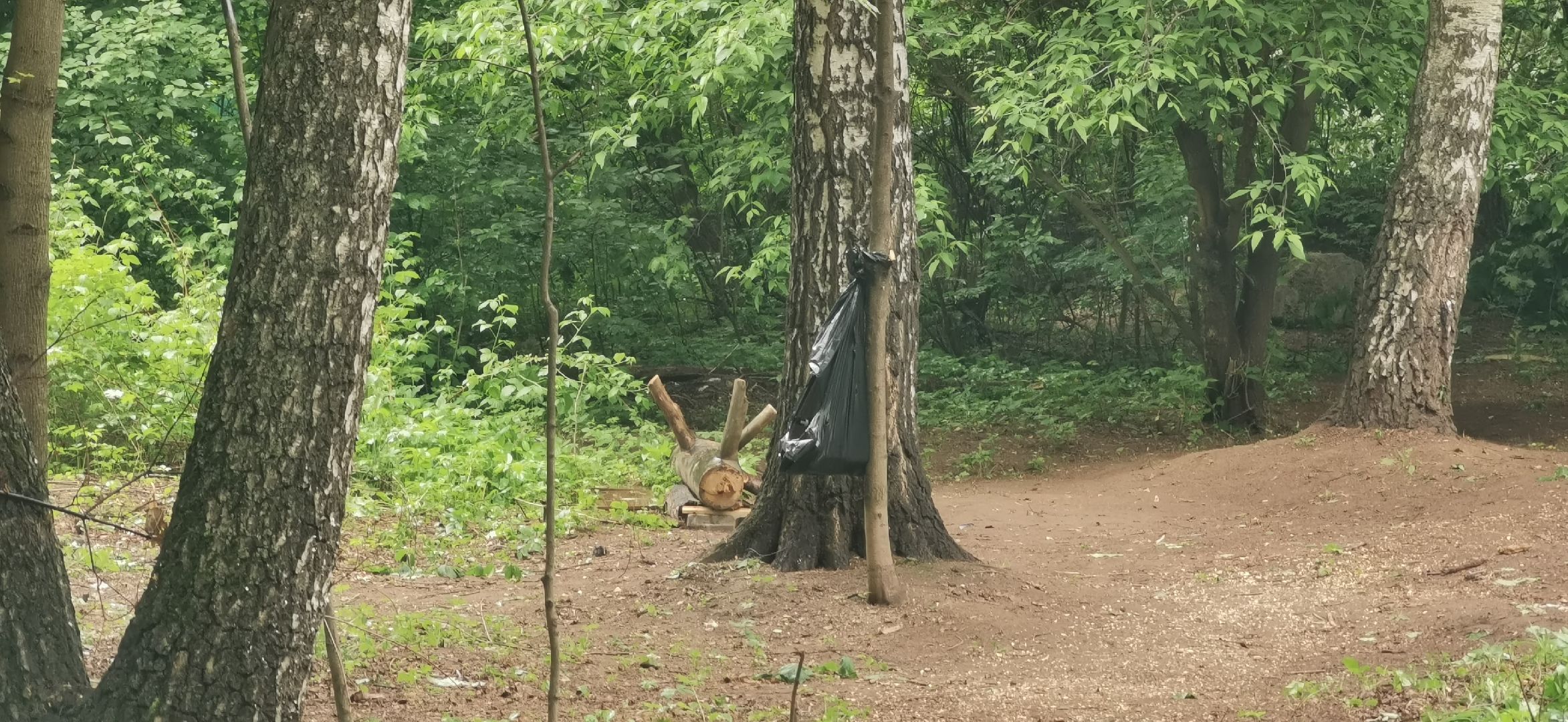 благоустройство, комфортная среда, парки подмосковья,