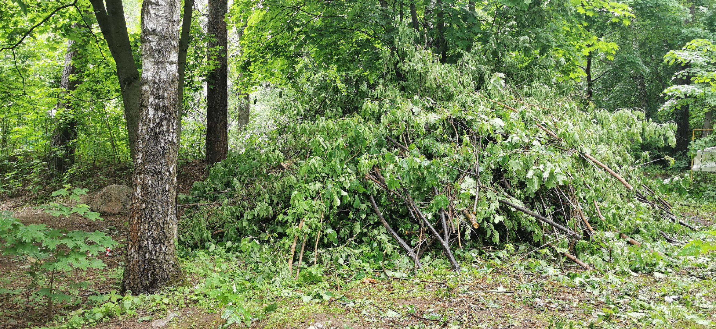 благоустройство, комфортная среда, парки подмосковья,