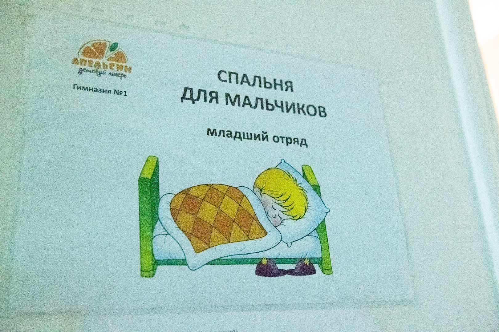 лыткарино, образование, лагерь, комиссия,