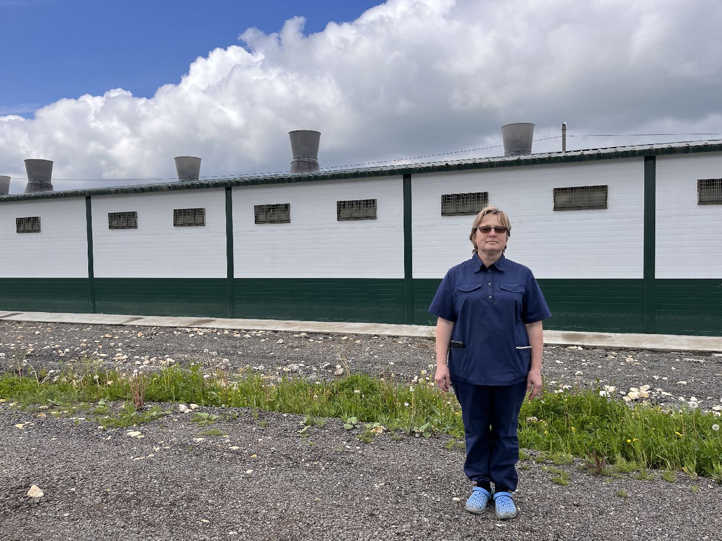 Шаховская, Птицеферма, строительство