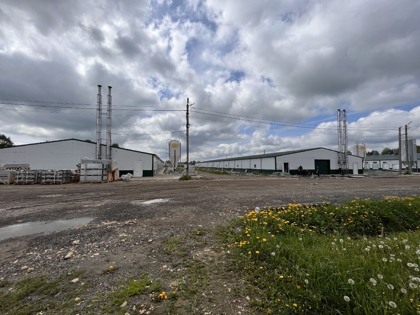 Шаховская, Птицеферма, строительство