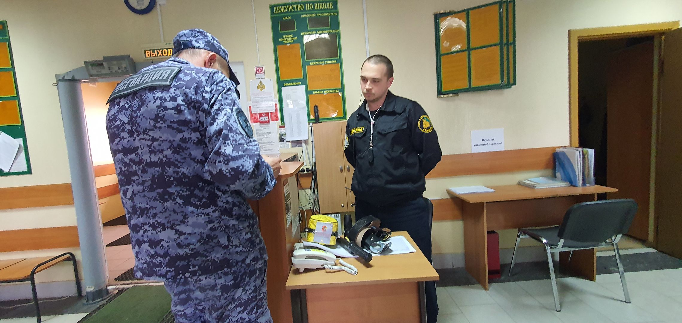 Пришкольный лагерь, Домодедово