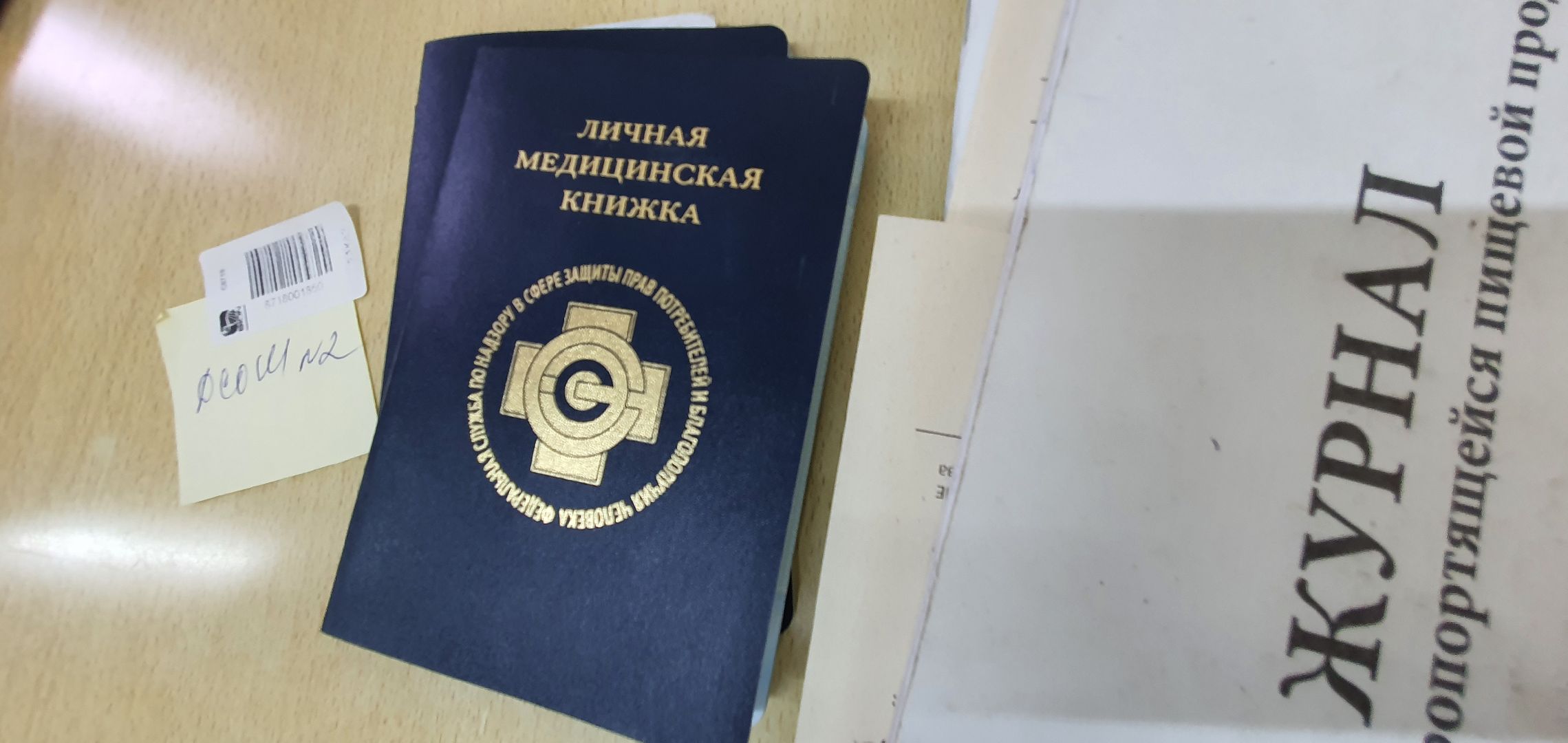 Пришкольный лагерь, Домодедово