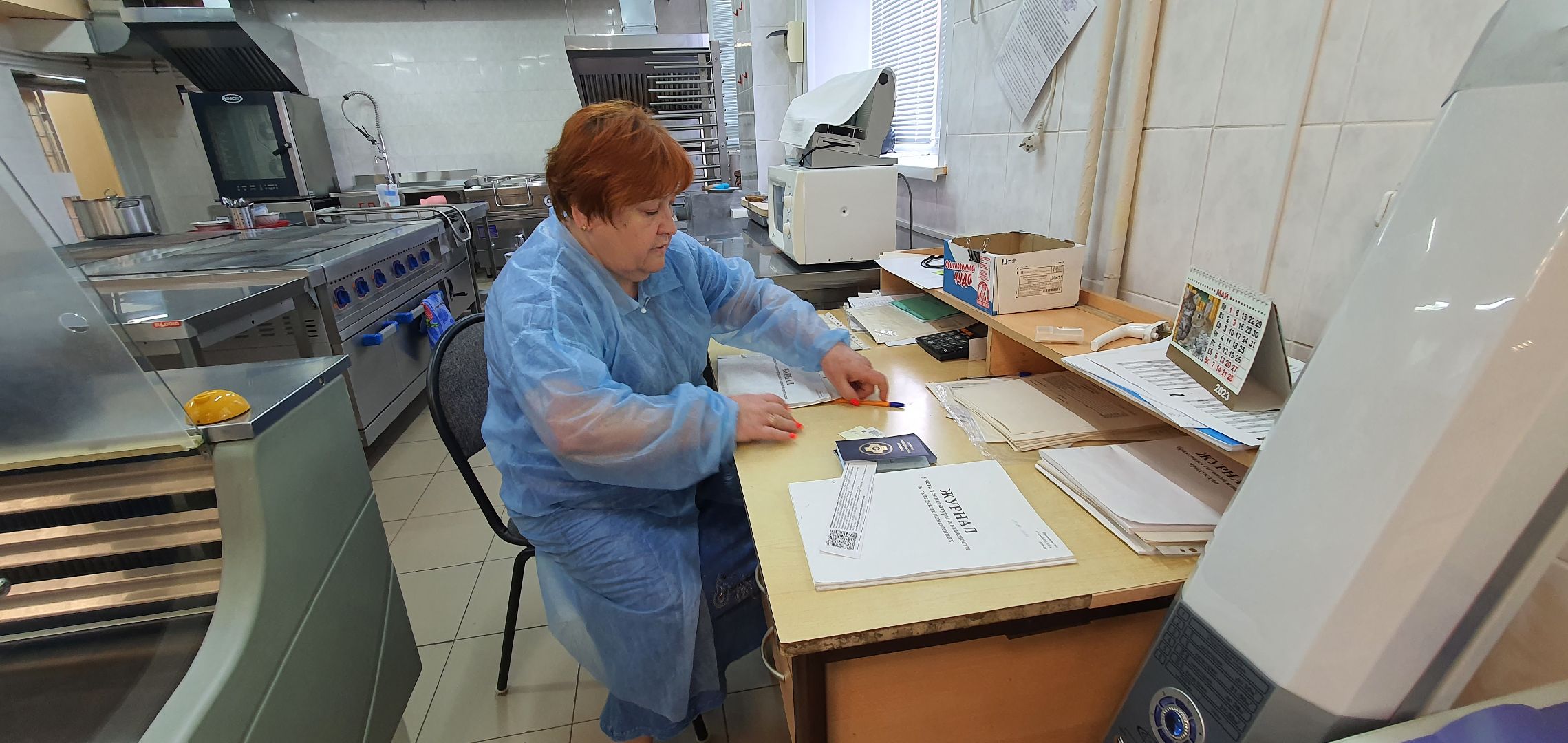 Пришкольный лагерь, Домодедово