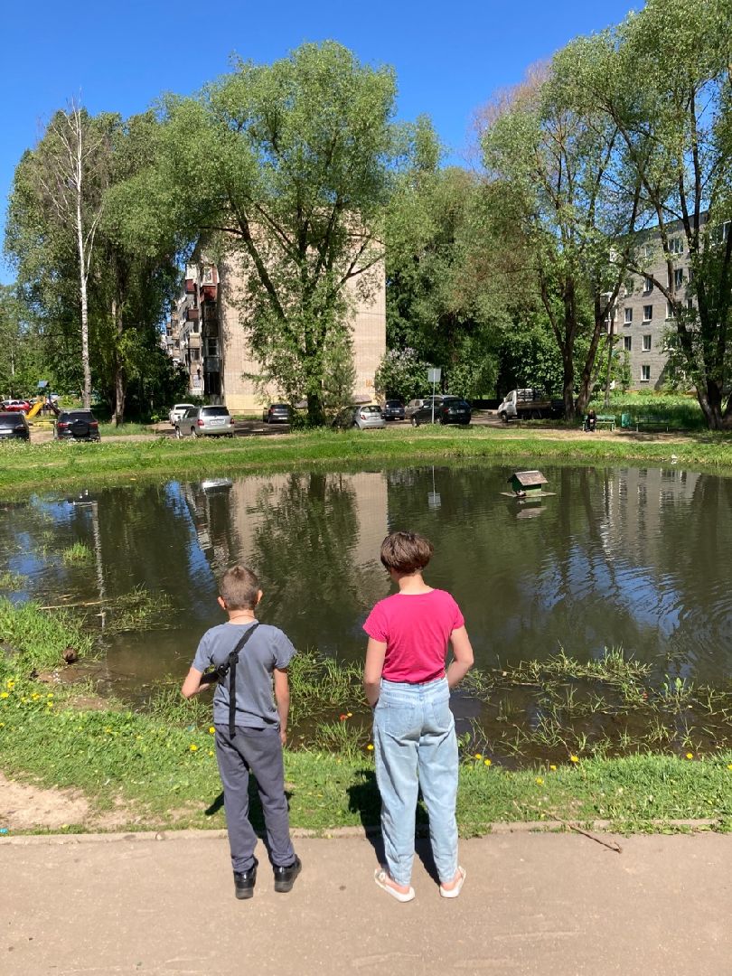 Солнечногорск, Рекинцо, утки, птицы, пополнение