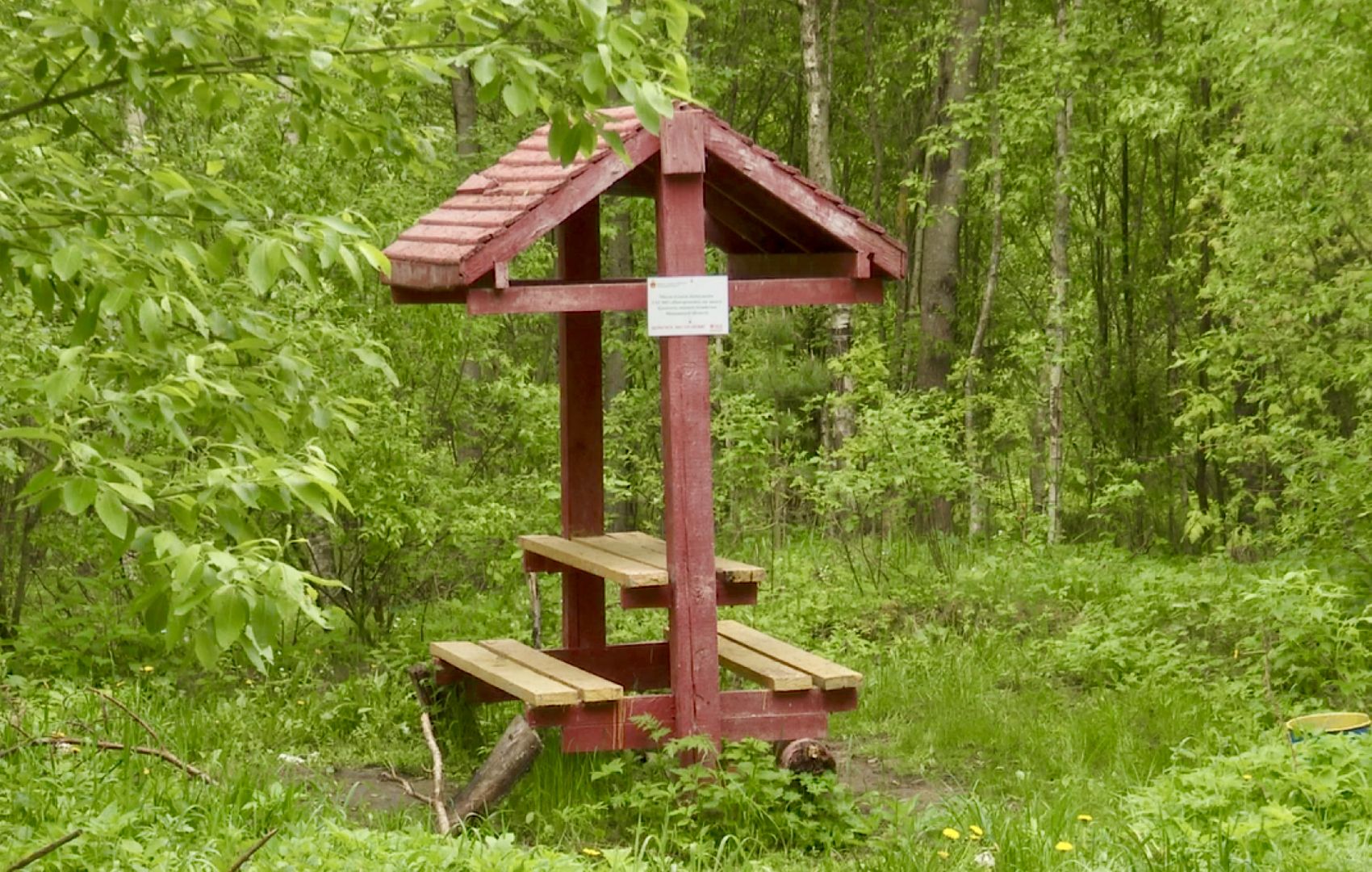 Клин, экология, пожары, леса