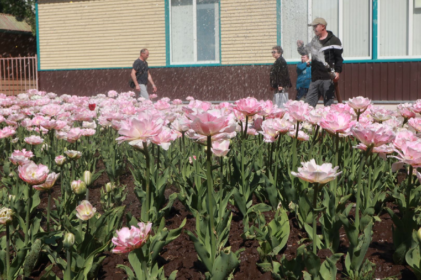 Пущино, благоустройство, экология