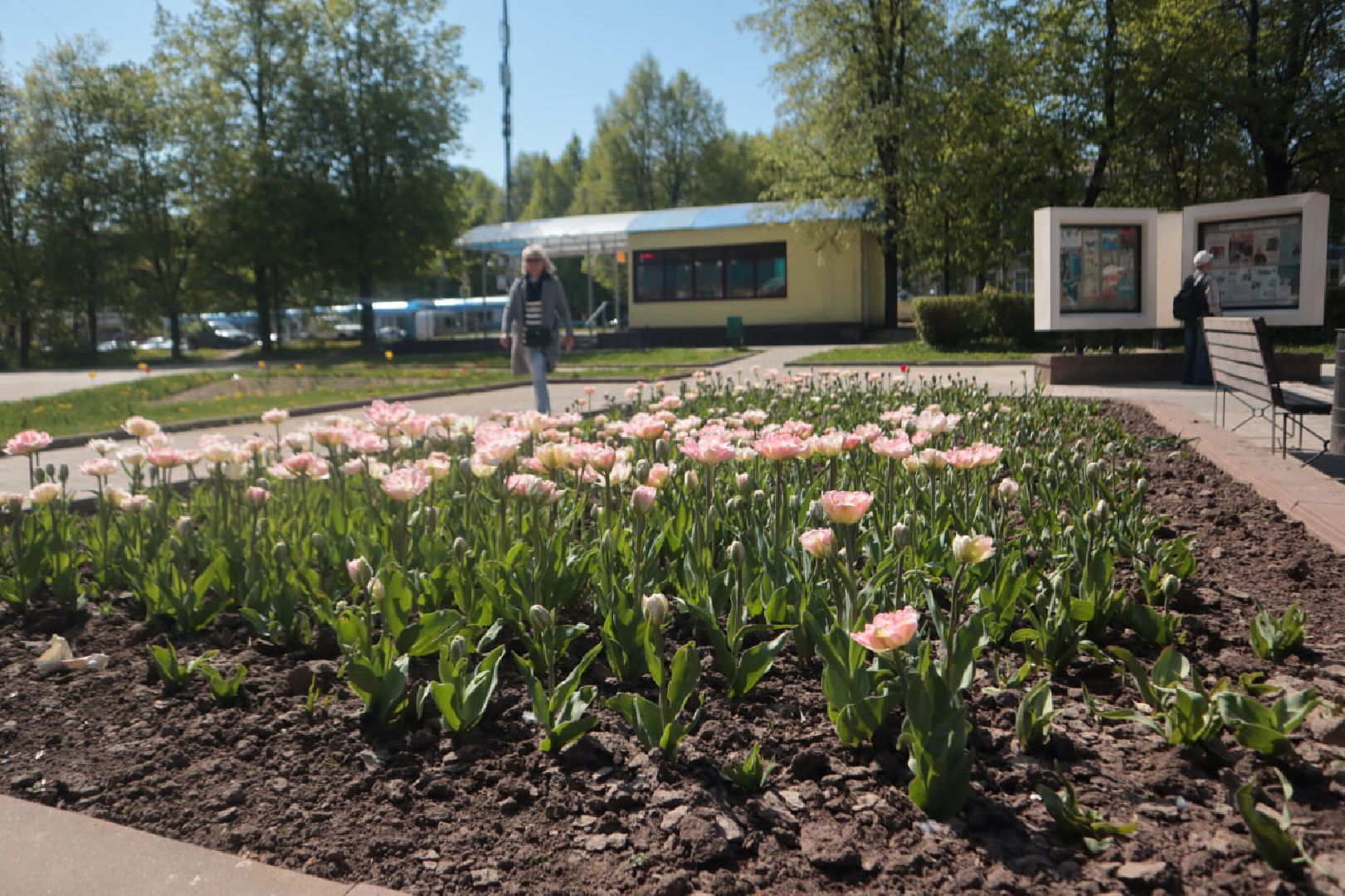 Пущино, благоустройство, экология