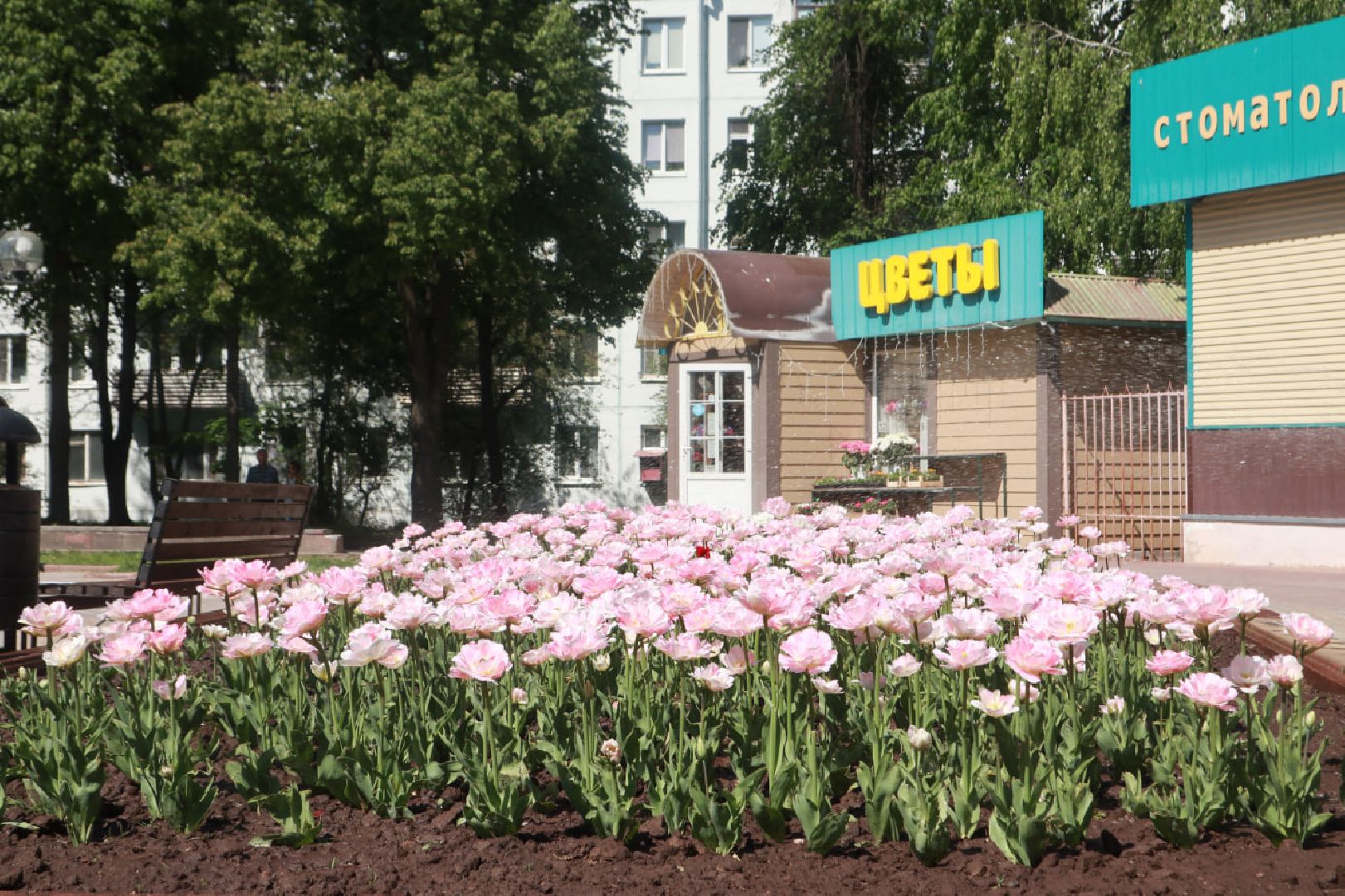 Пущино, благоустройство, экология