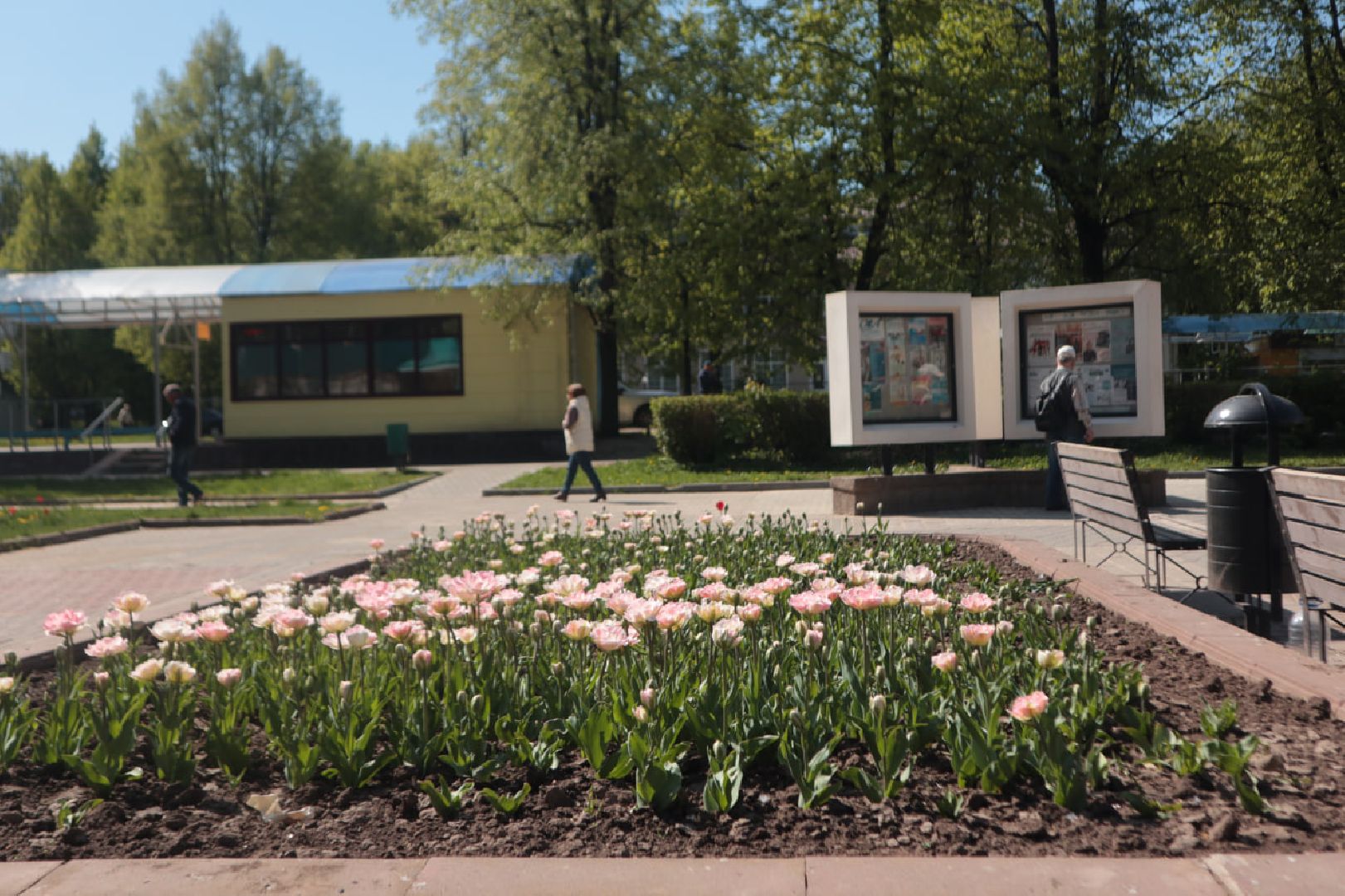 Пущино, благоустройство, экология