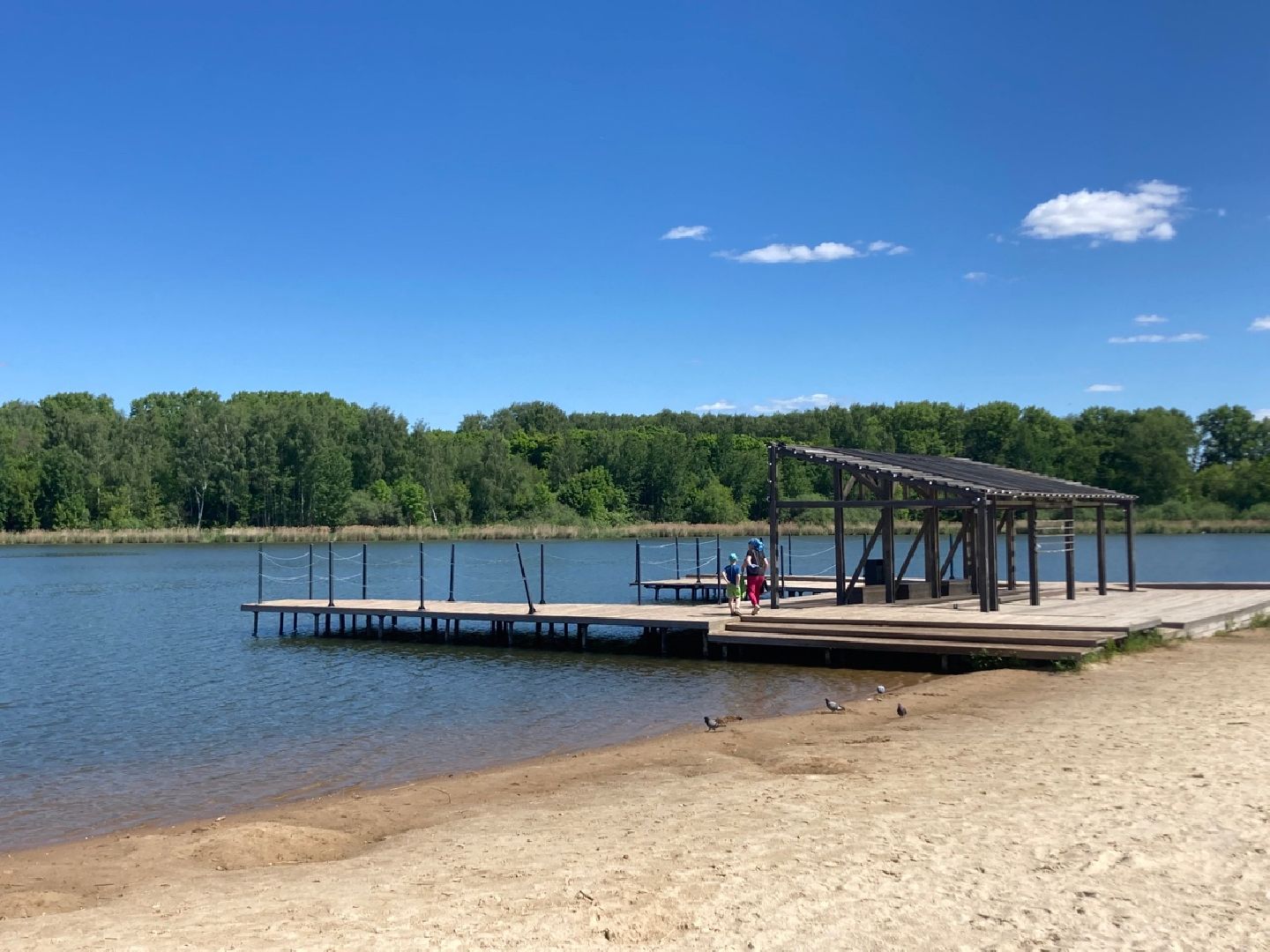 Солнечногорск, Сенеж, пляж, купальный сезон, безопасность