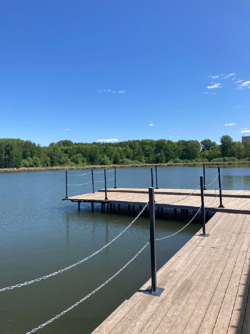 Солнечногорск, Сенеж, пляж, купальный сезон, безопасность