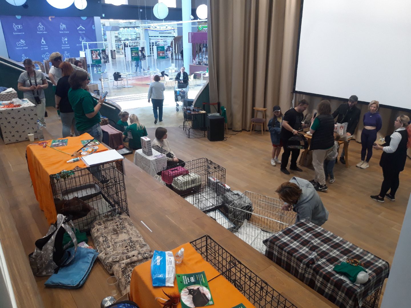 доброе дело, волонтеры,