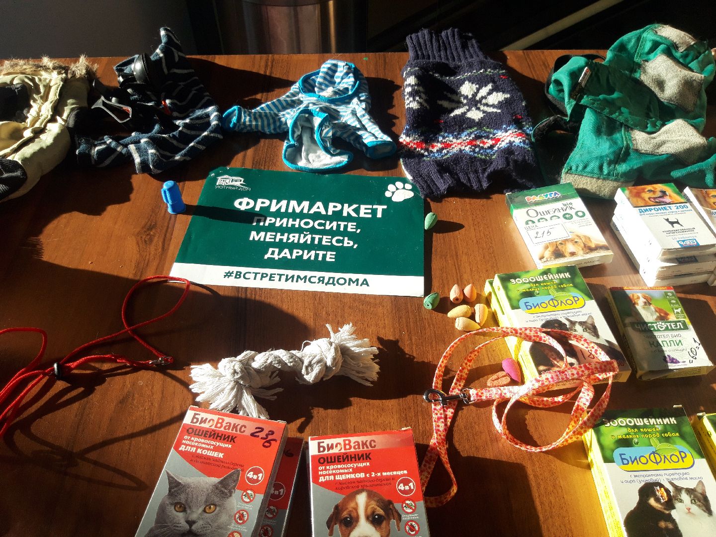 доброе дело, волонтеры,