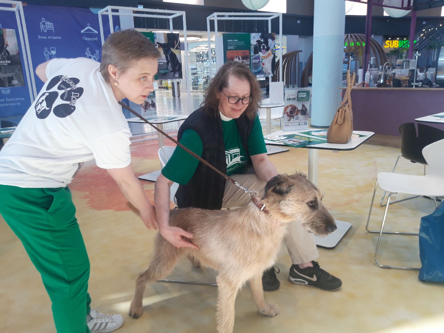 доброе дело, волонтеры,
