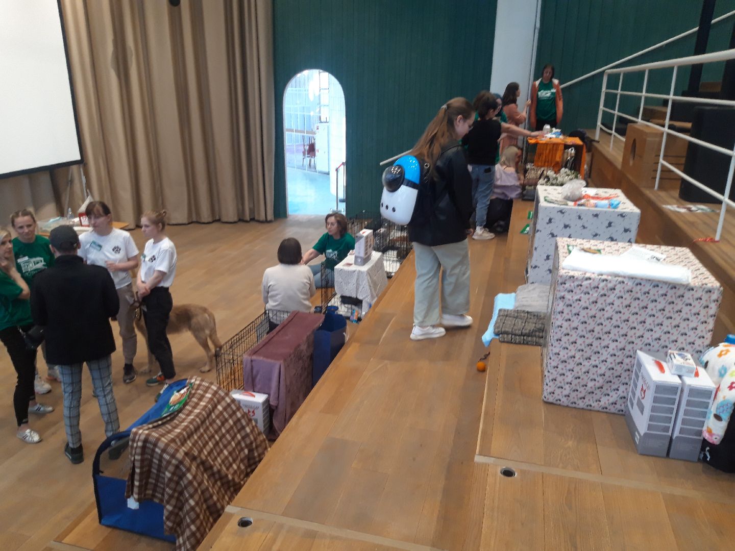 доброе дело, волонтеры,