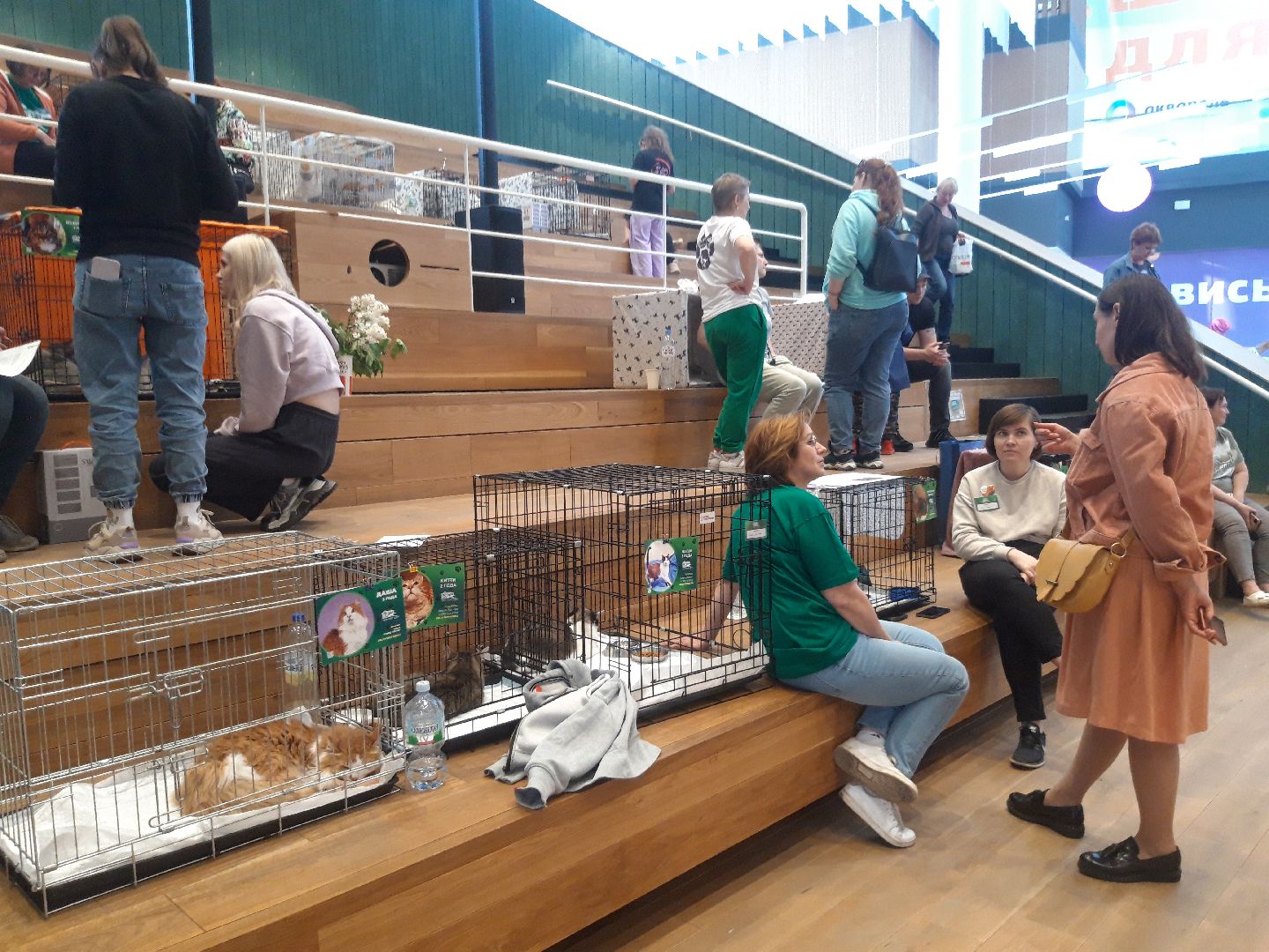 доброе дело, волонтеры,