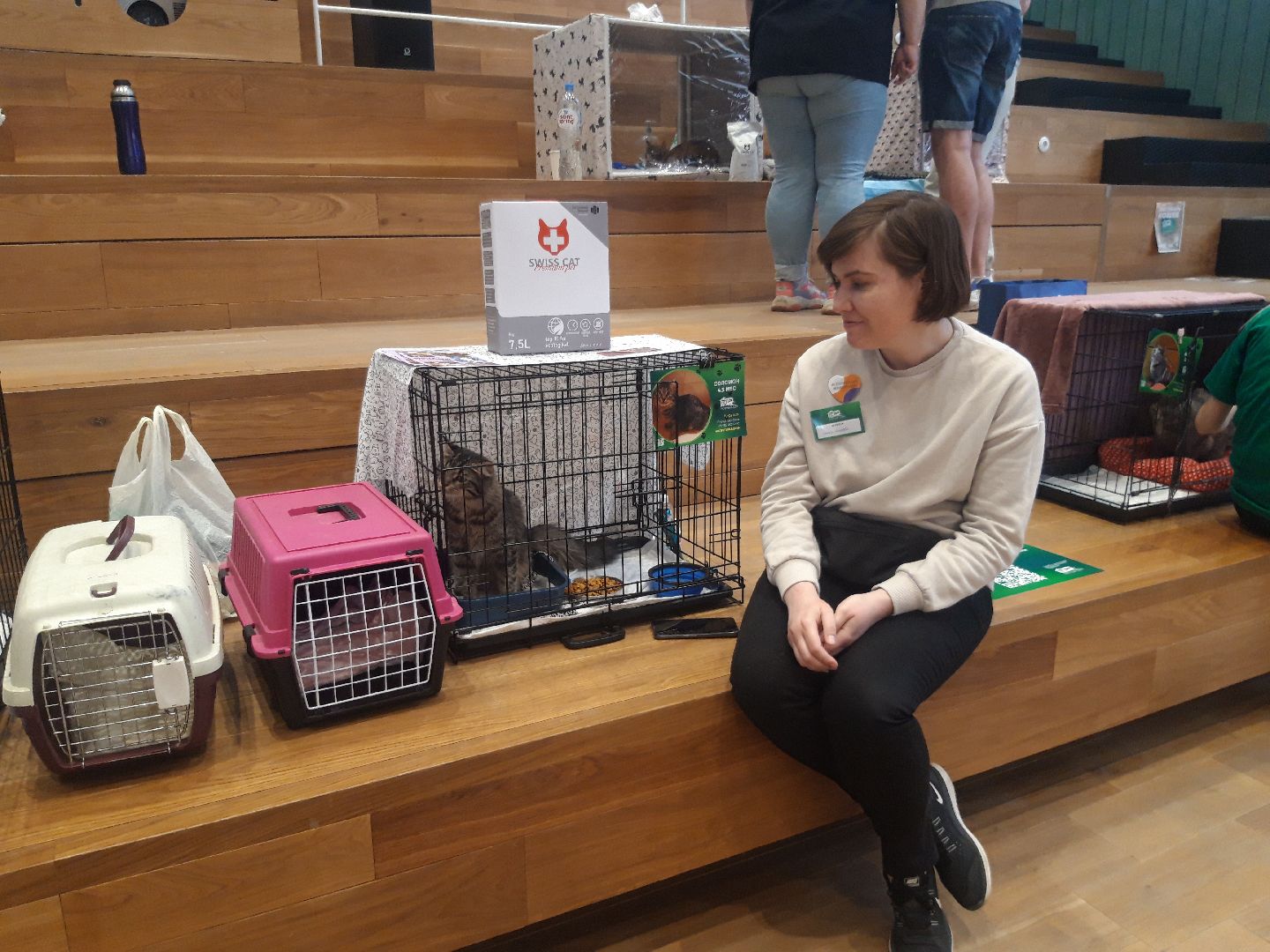 доброе дело, волонтеры,